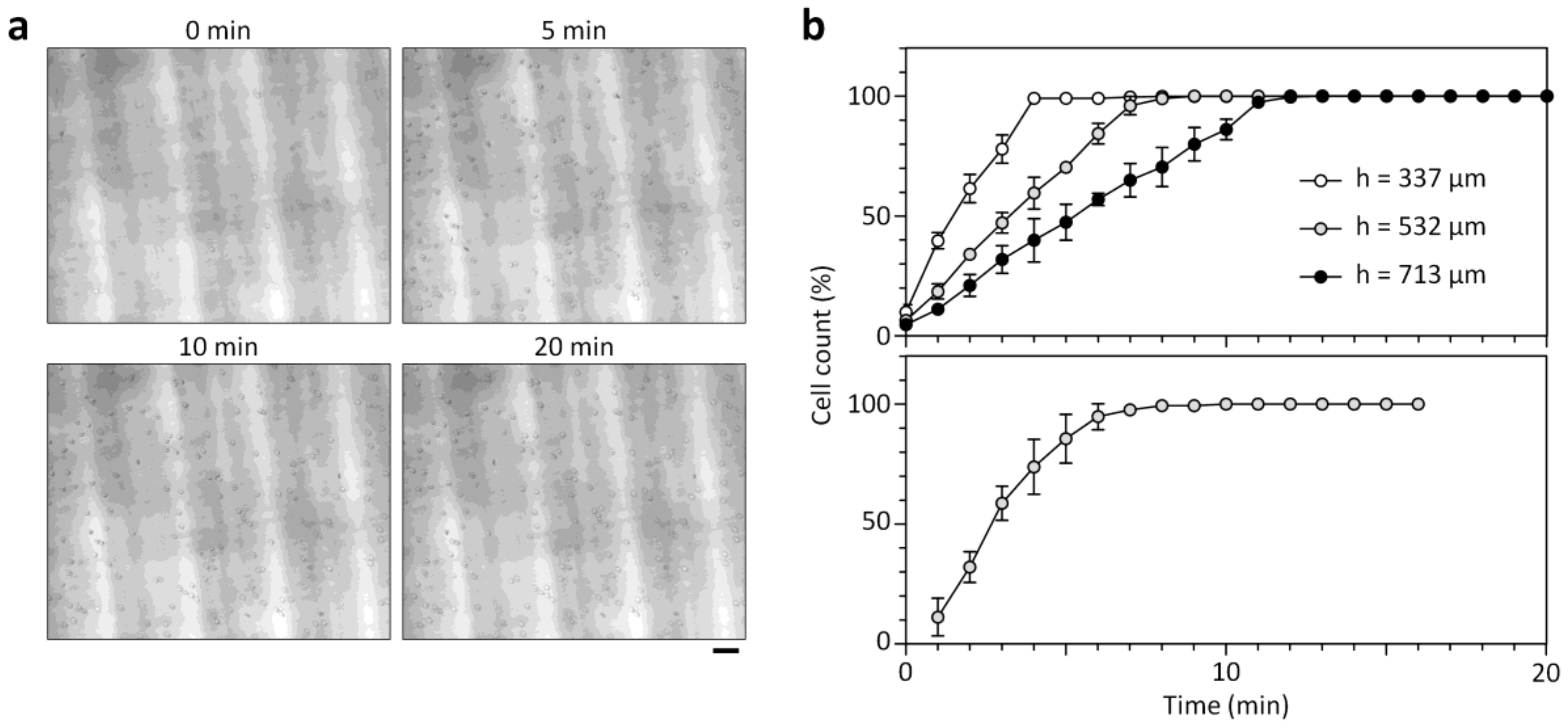 Sensors 18 01124 g002