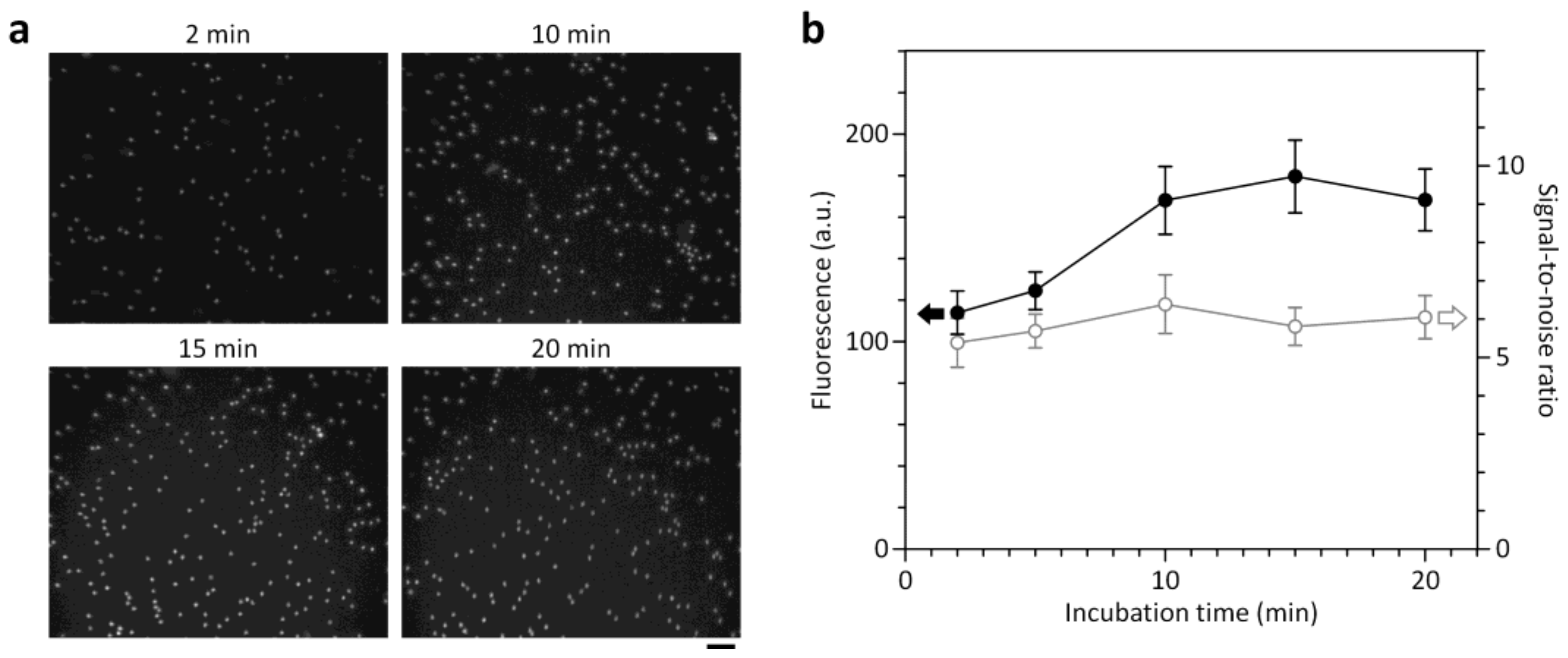 Sensors 18 01124 g004