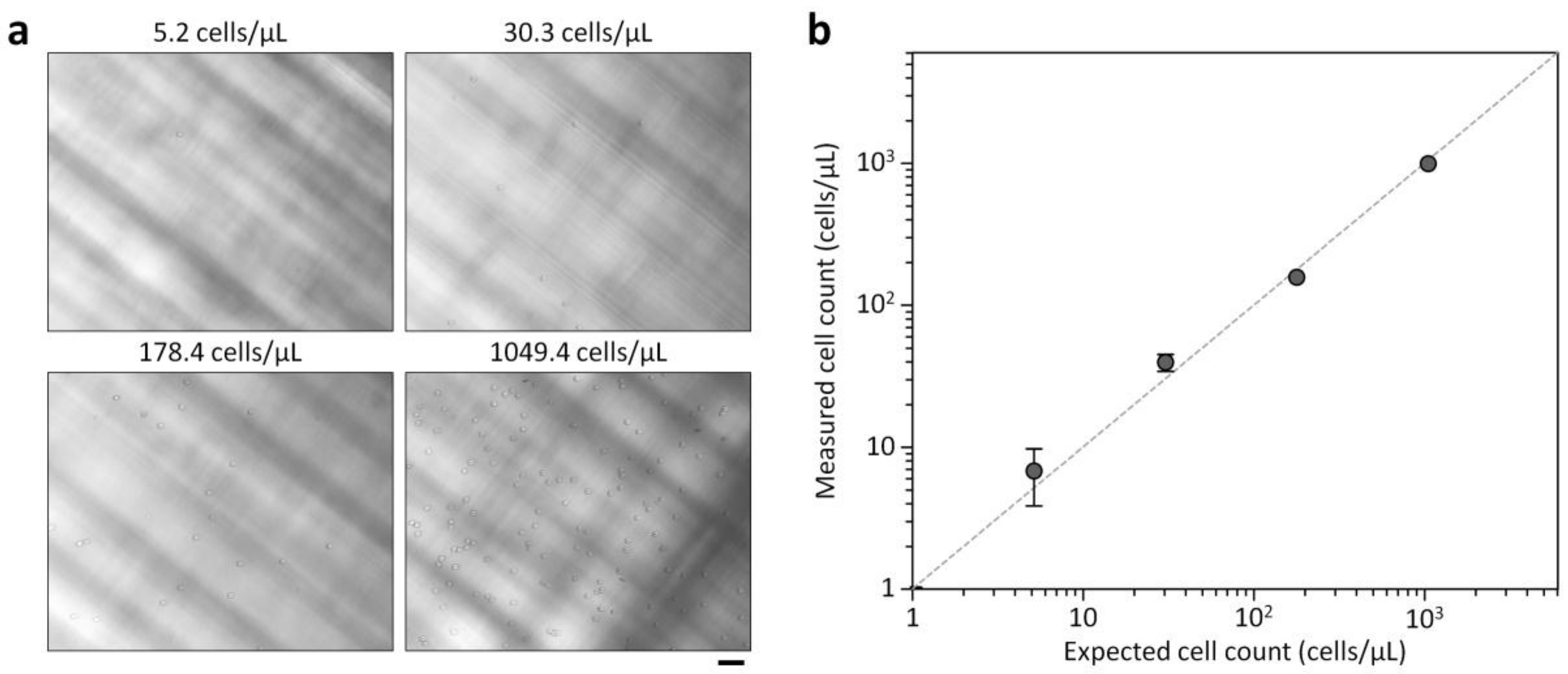 Sensors 18 01124 g005