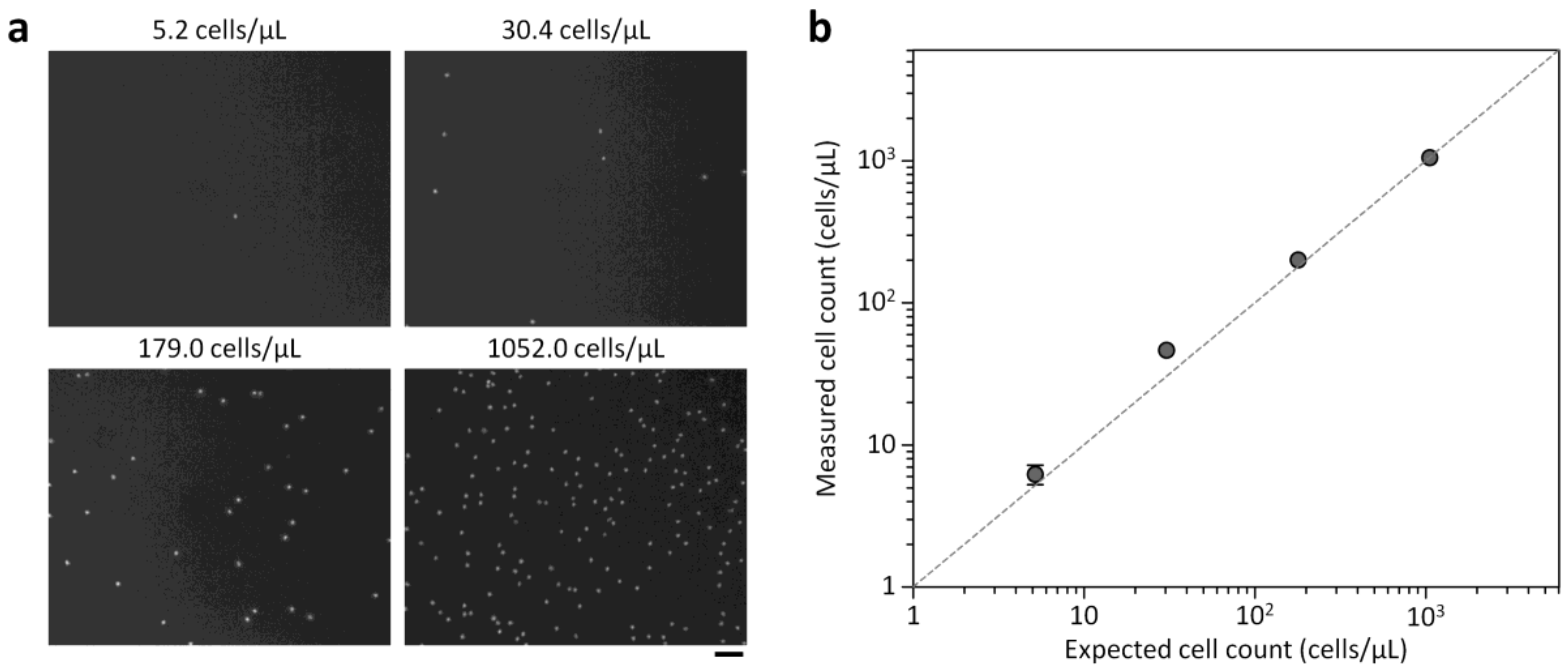 Sensors 18 01124 g006