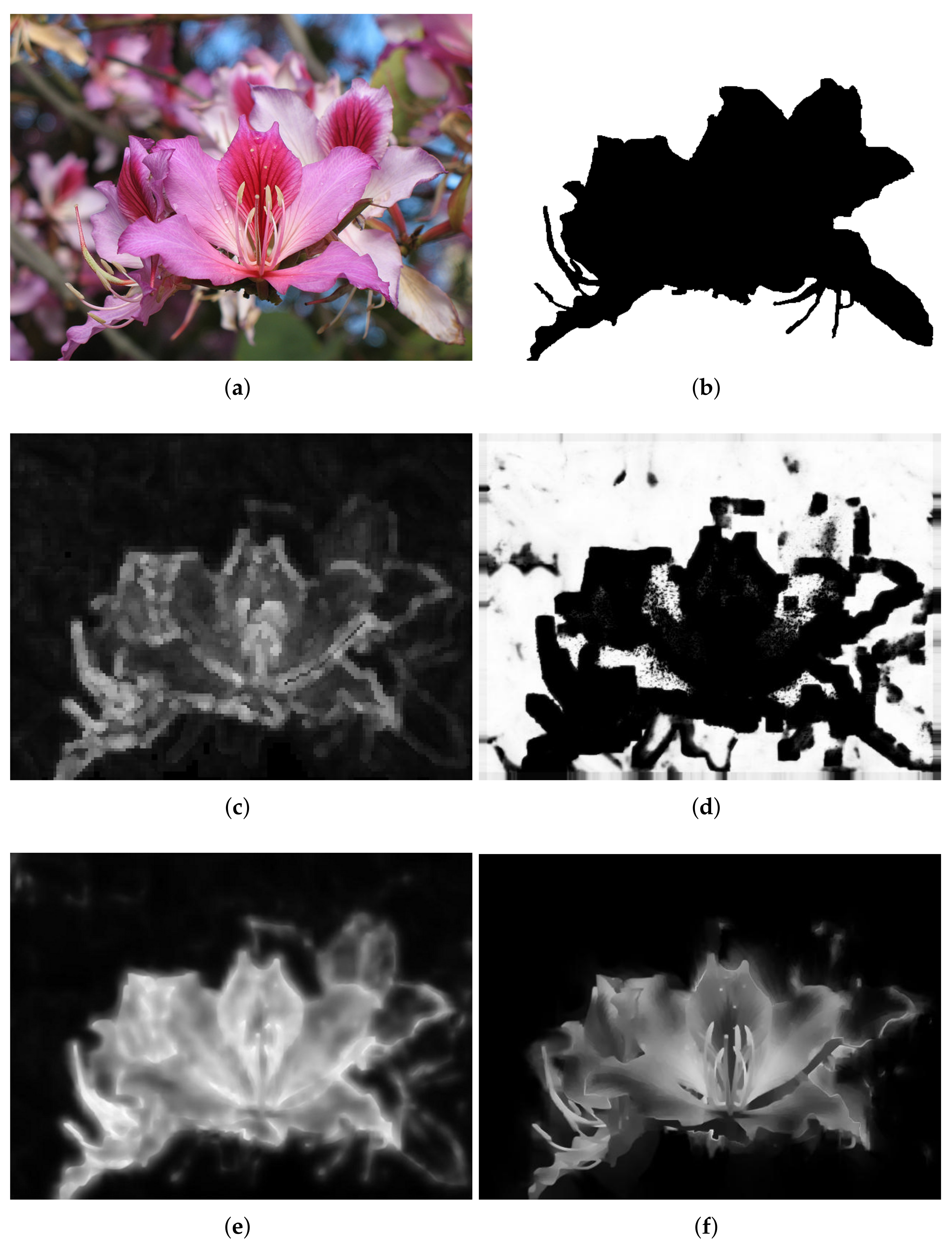 Sensors 18 01135 g007