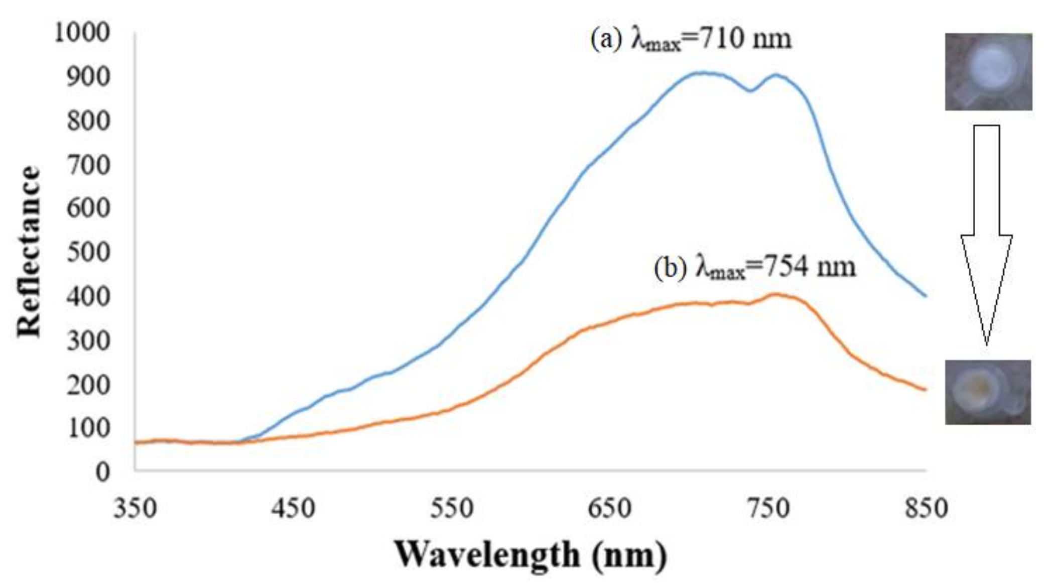 Sensors 18 01173 g004 550