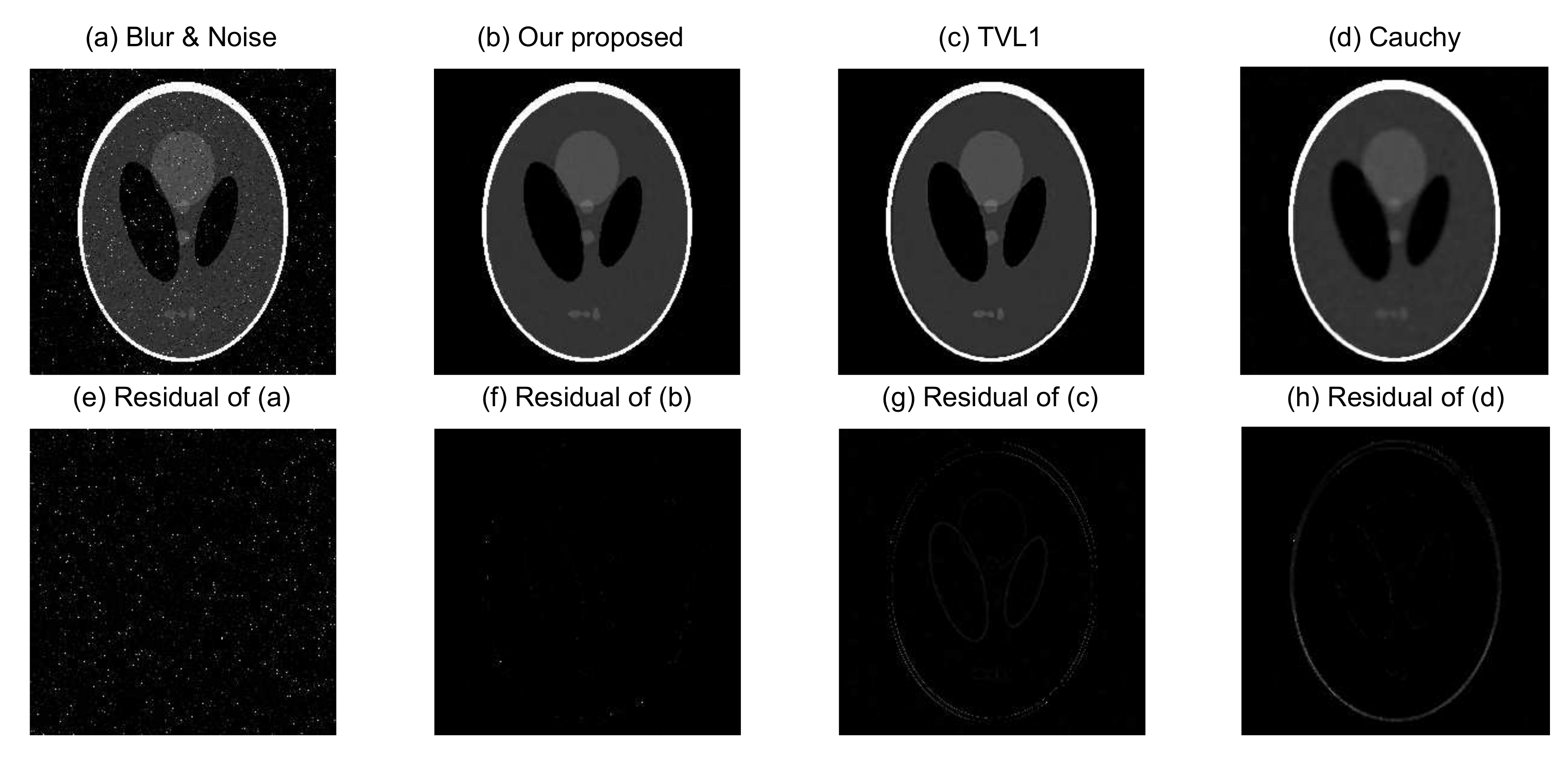 Sensors  Free Full-Text  A Convex Constraint Variational Method 