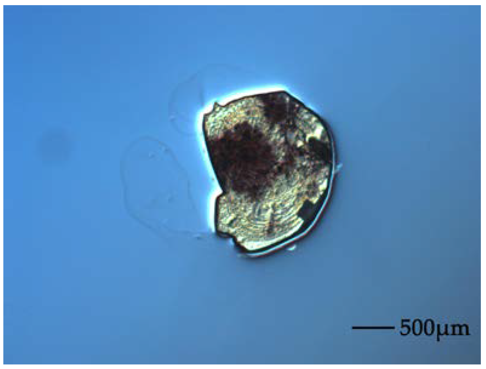 Sensors 18 01240 g002