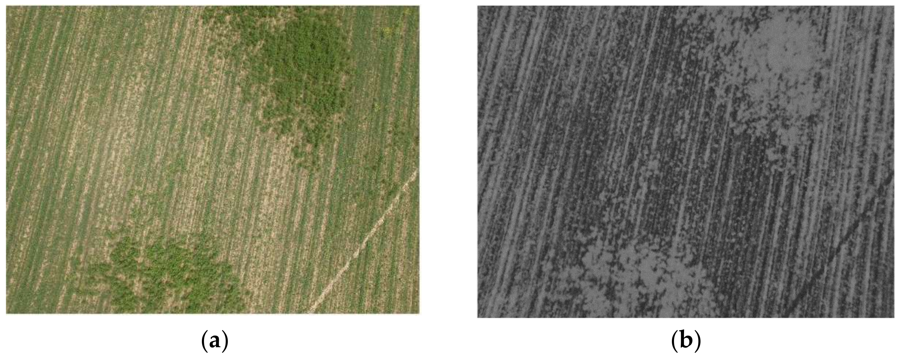 Sensors 18 01253 g002