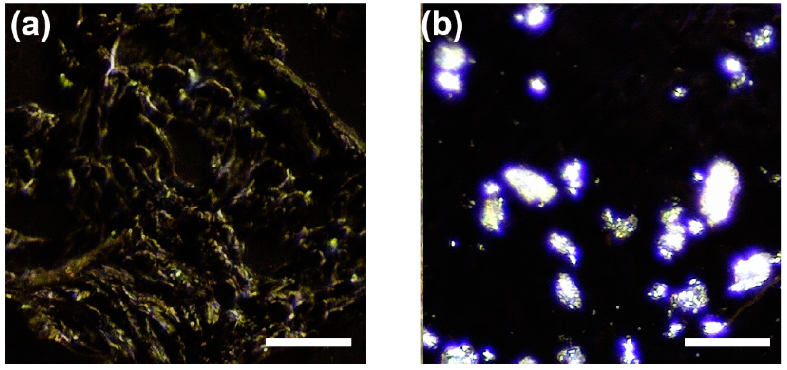 Sensors 18 01258 g002 550