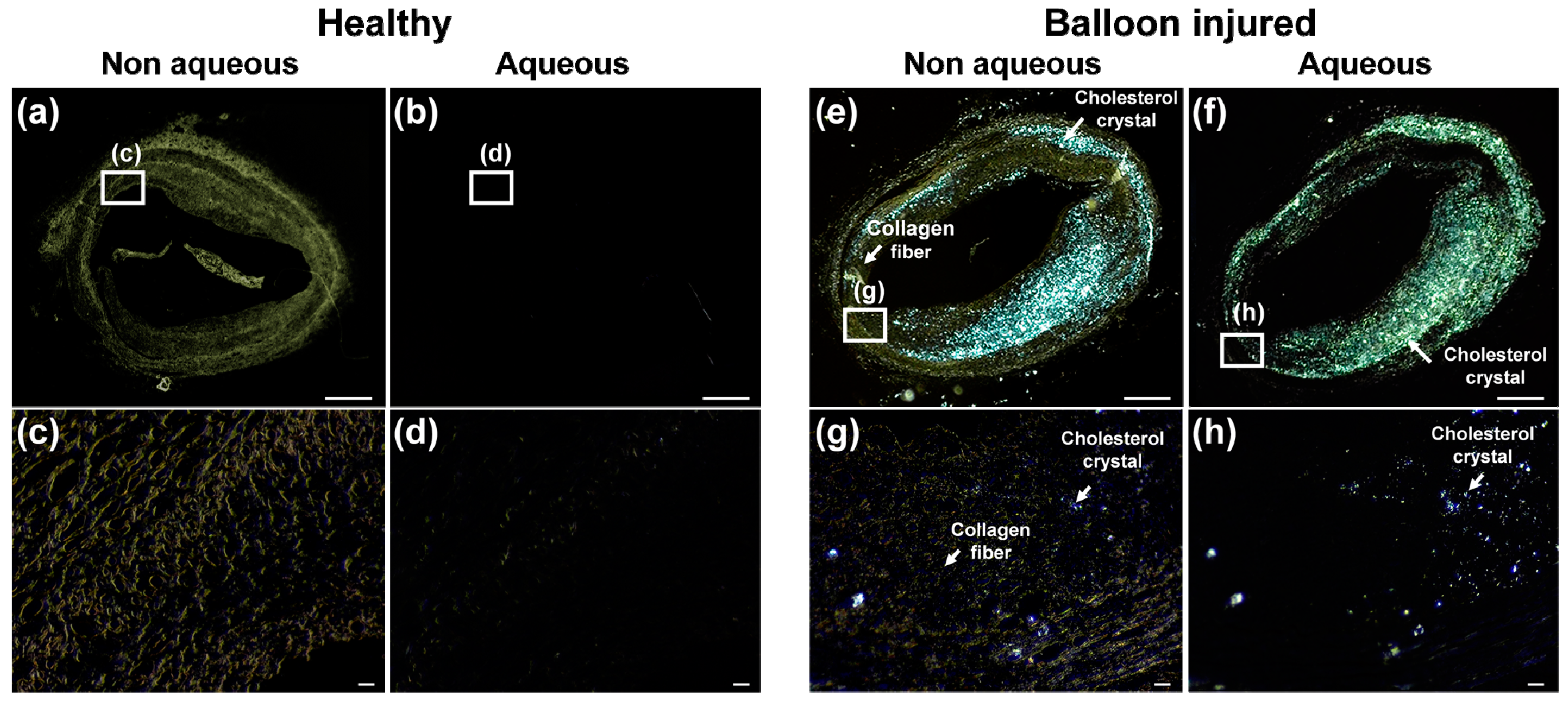 Sensors 18 01258 g003 550