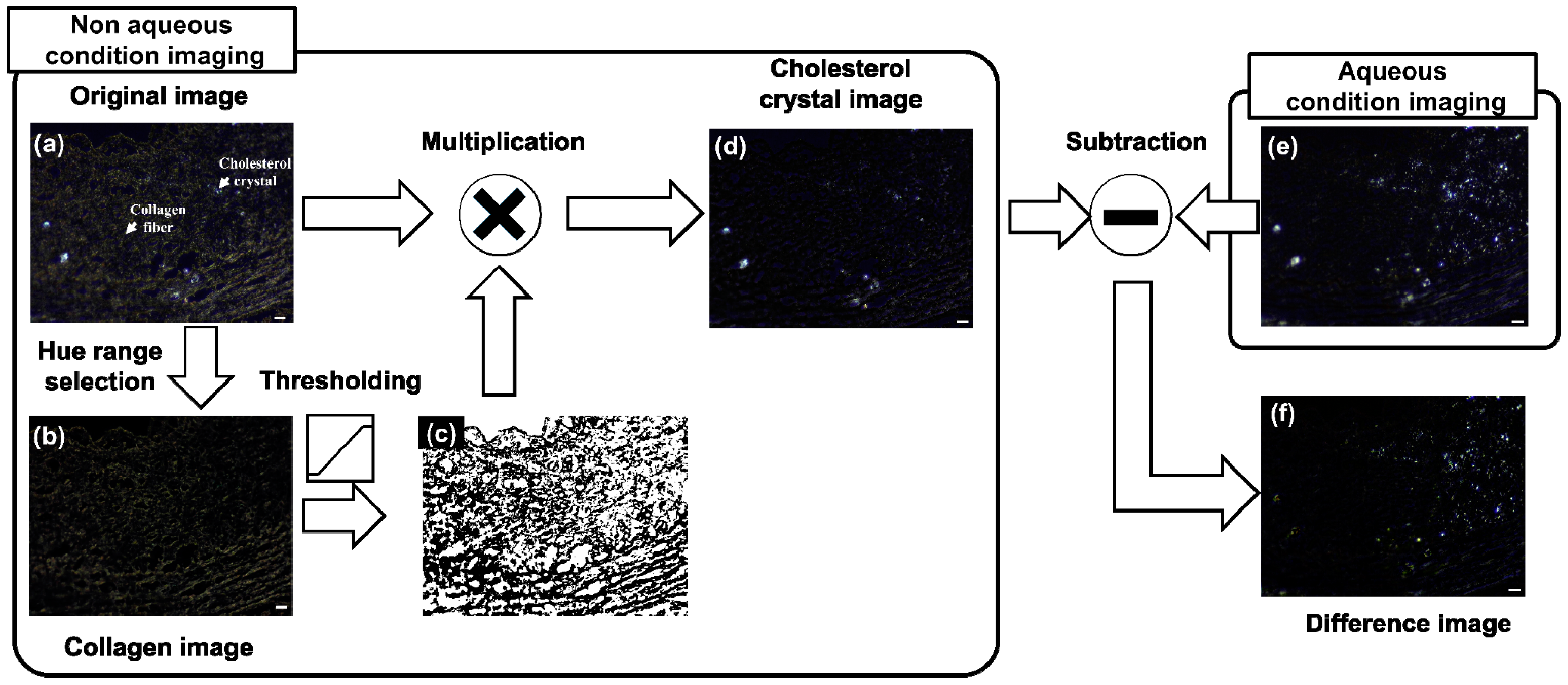 Sensors 18 01258 g004 550