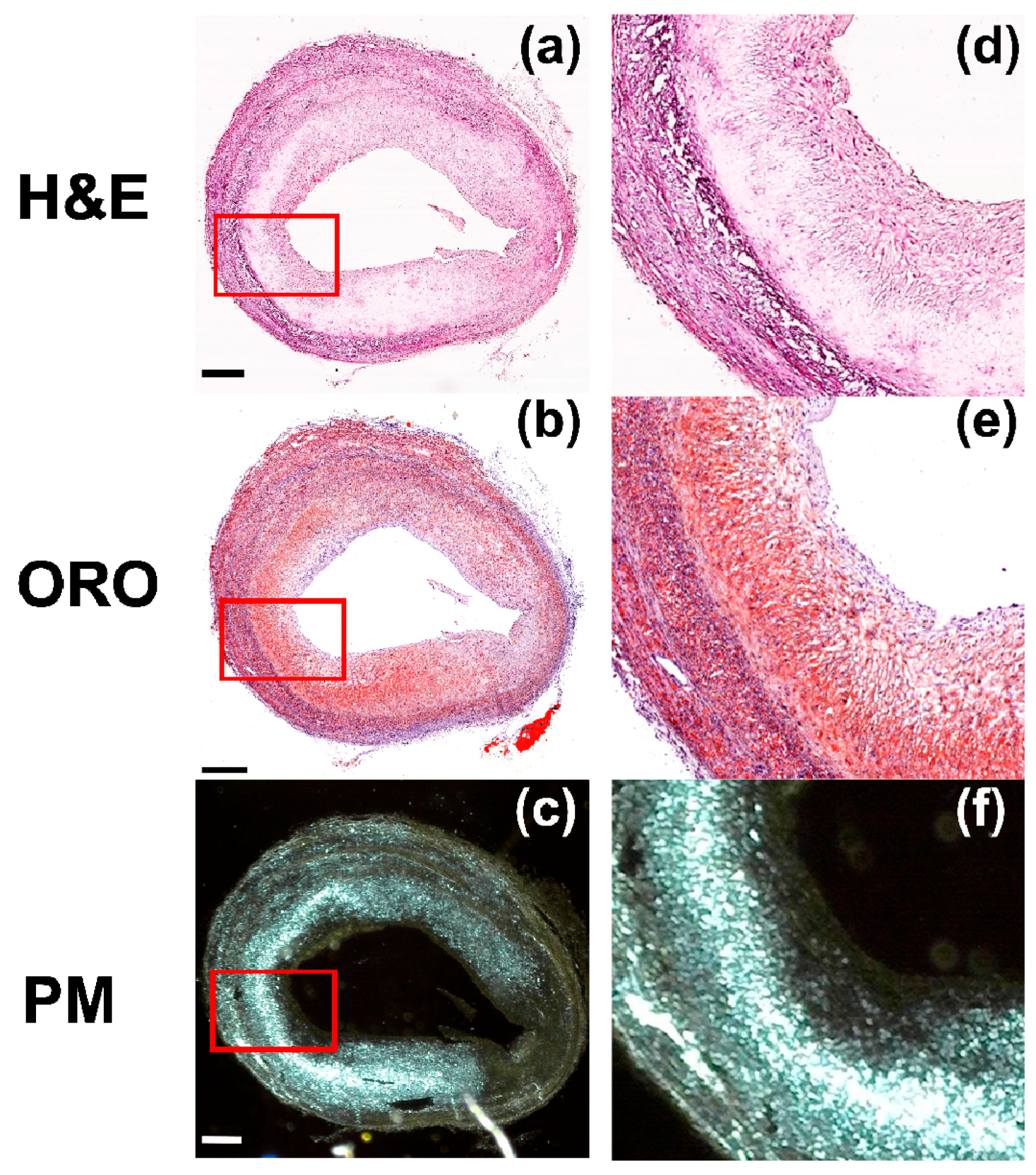 Sensors 18 01258 g006 550