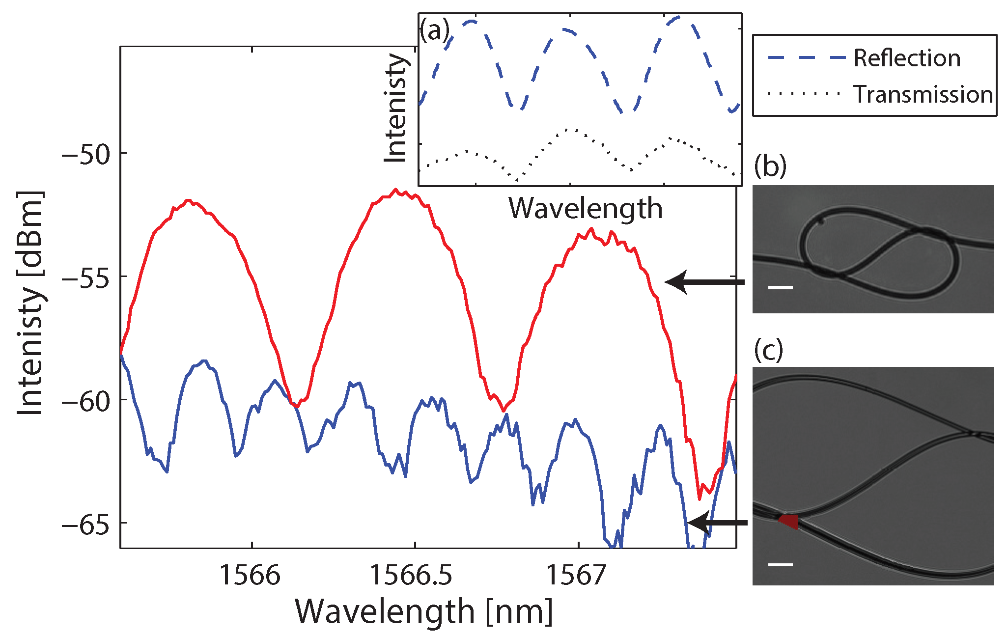 Sensors 18 01273 g003