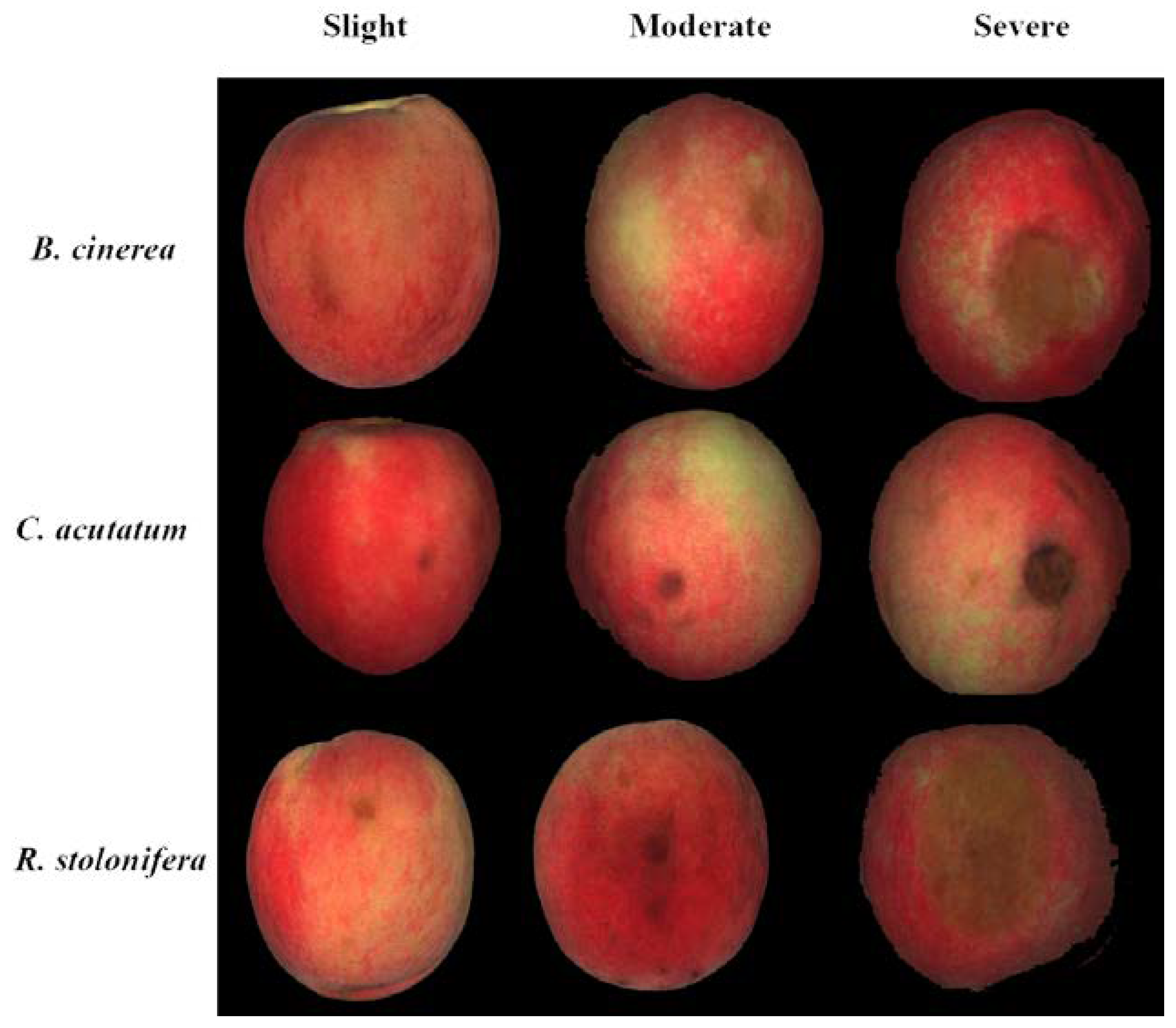 Sensors 18 01295 g003