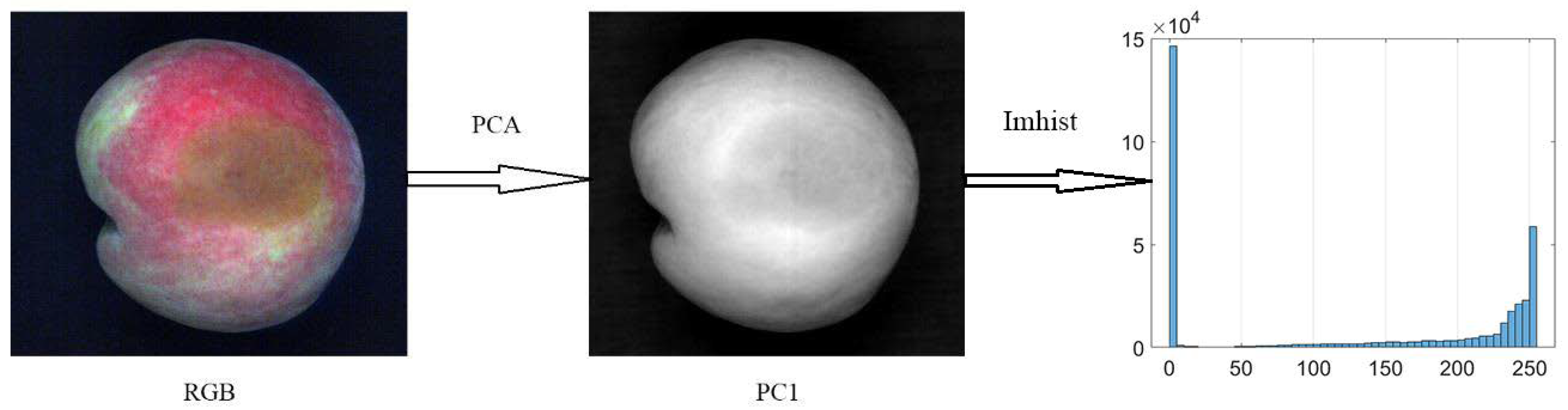 Sensors 18 01295 g004