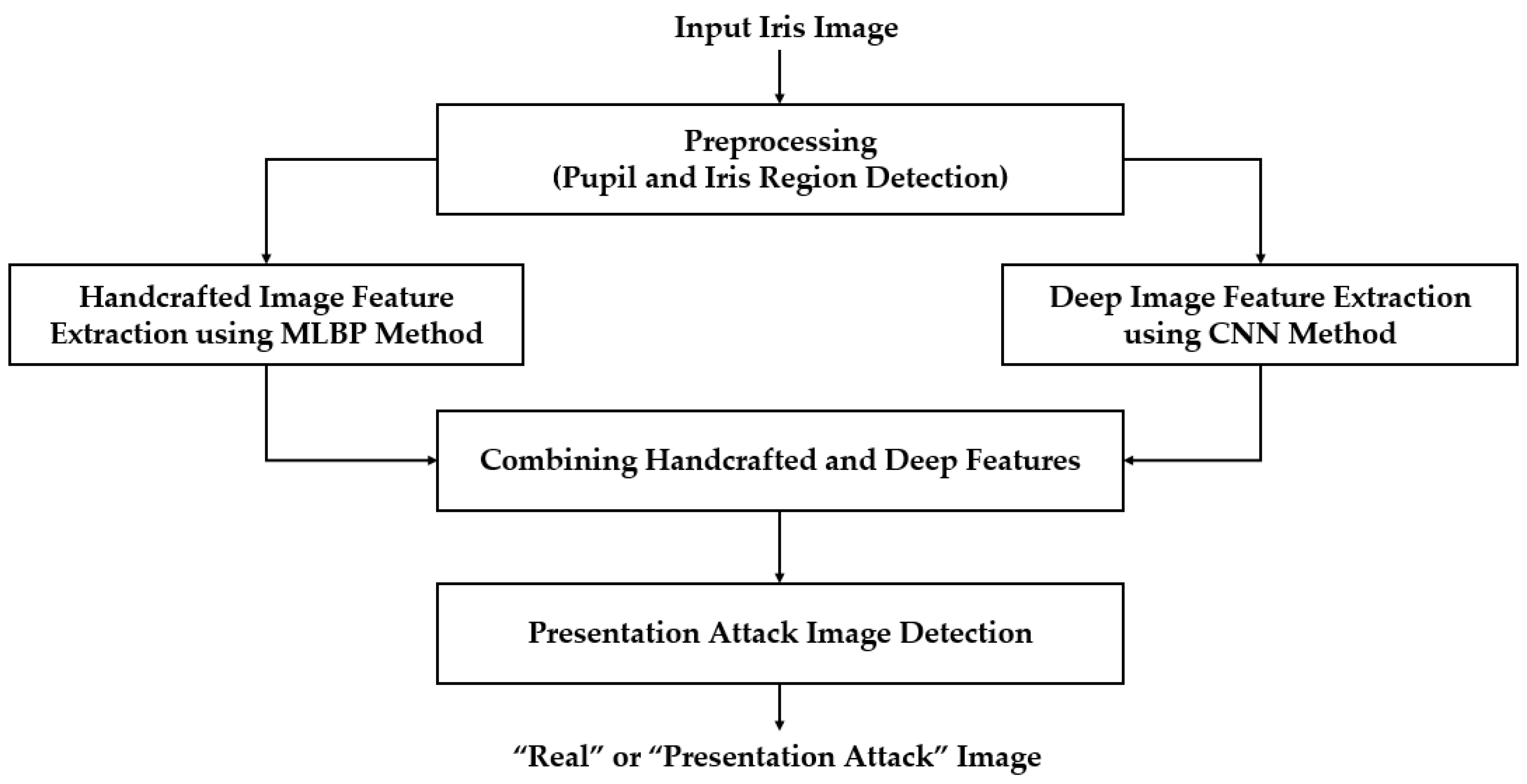 Sensors 18 01315 g001
