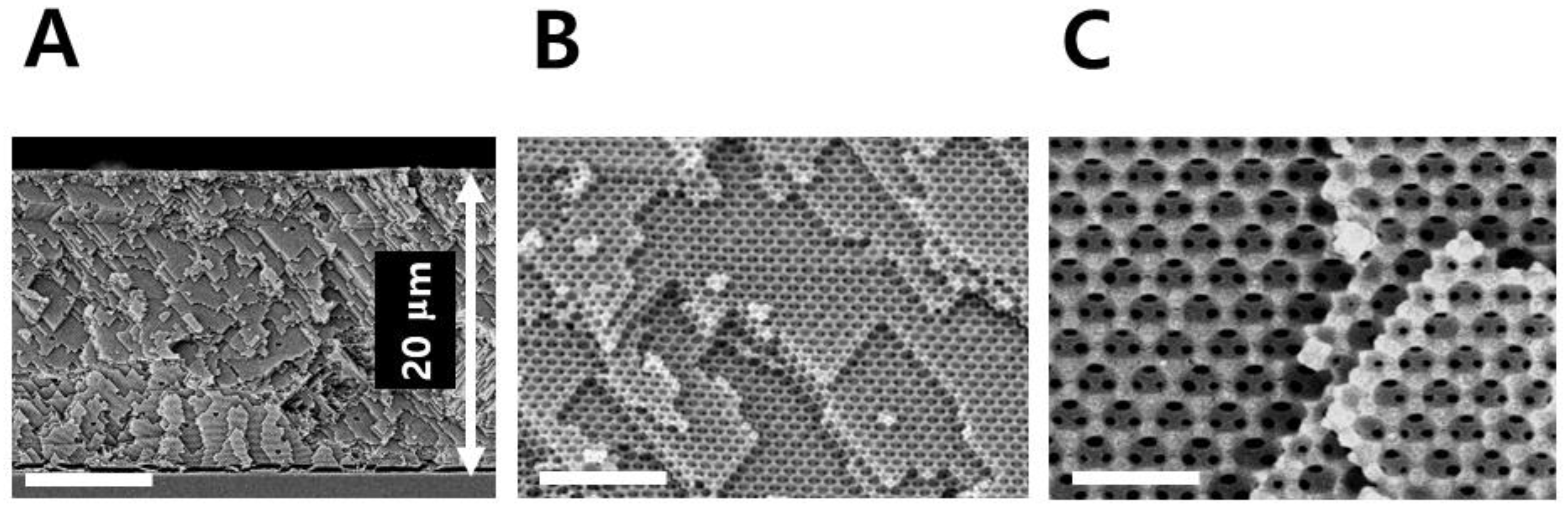 Sensors 18 01357 g002 550