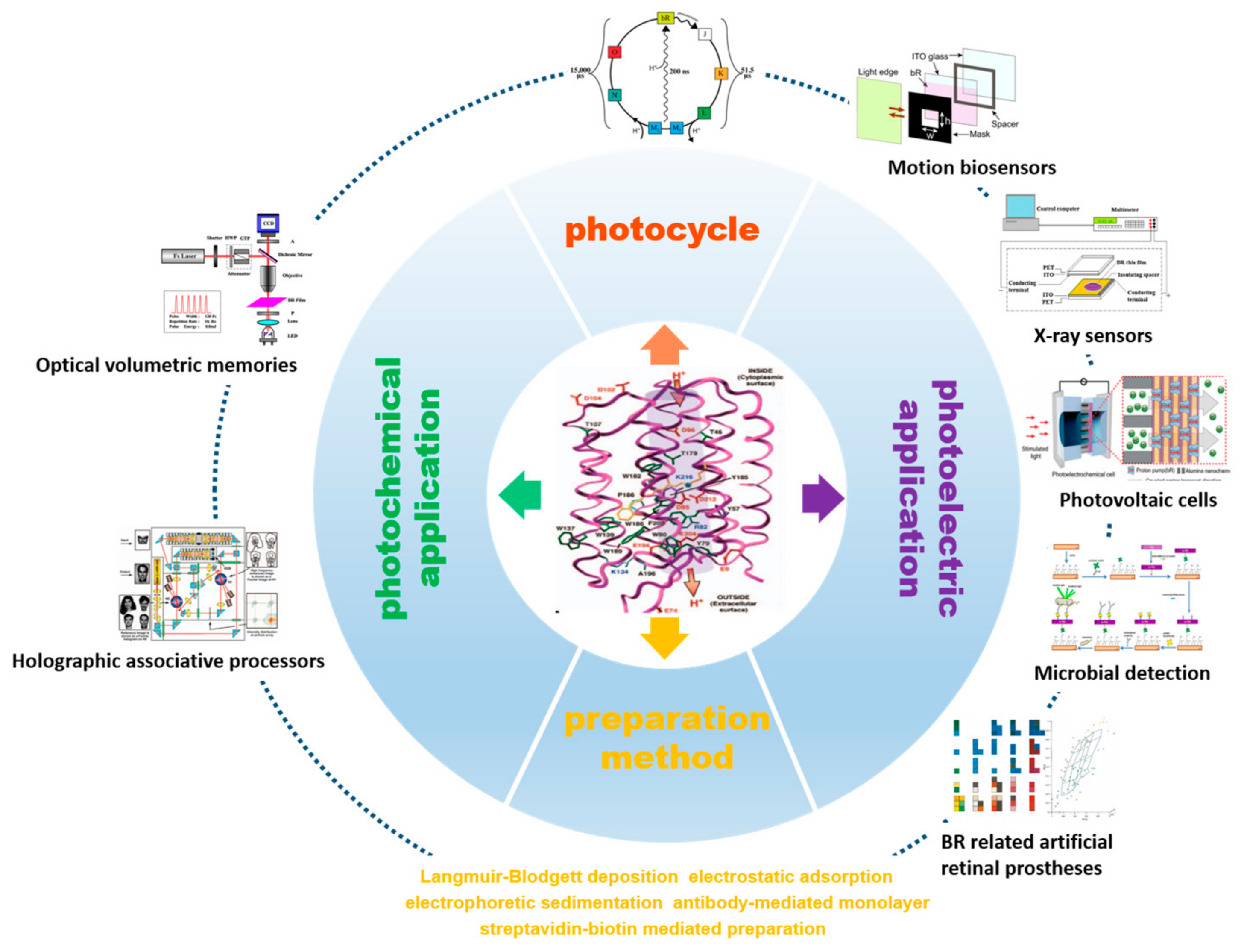 Sensors 18 01368 g002 550