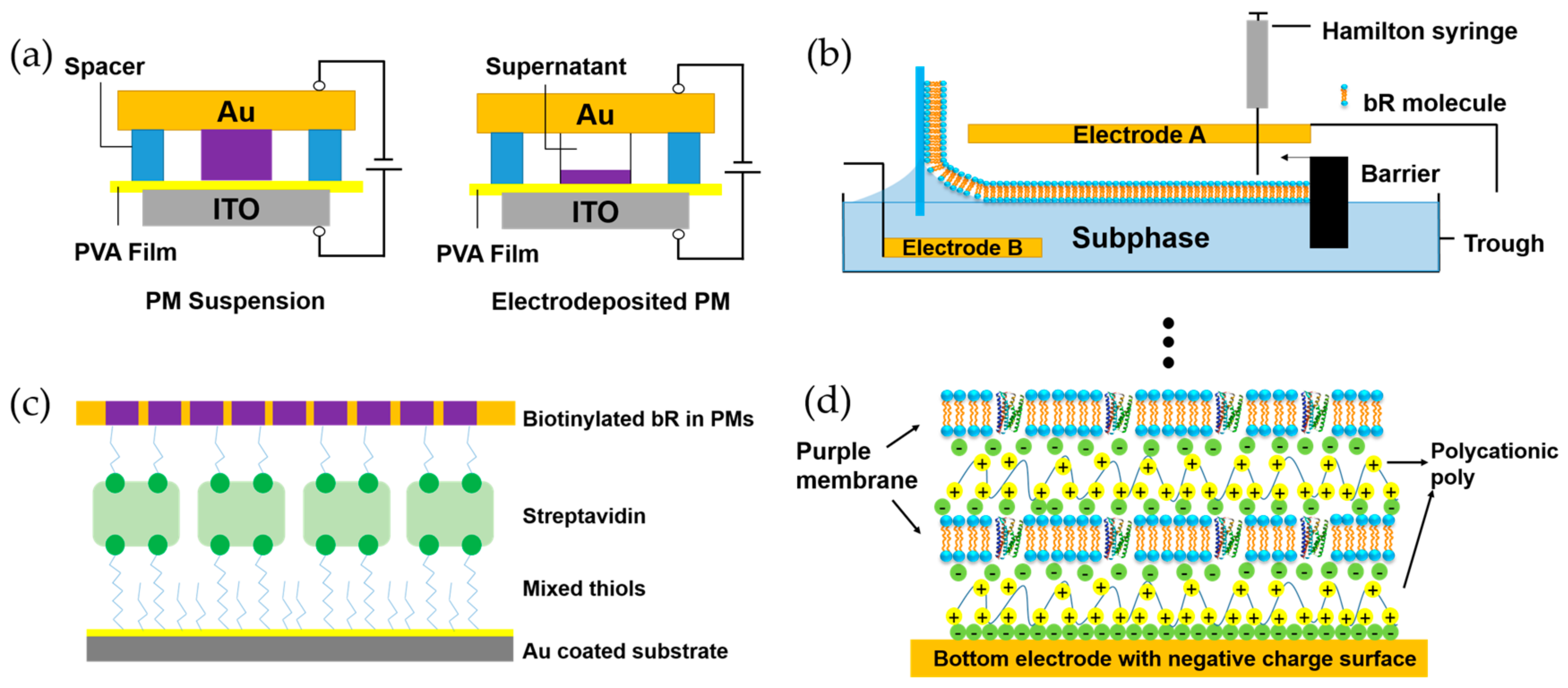Sensors 18 01368 g005 550