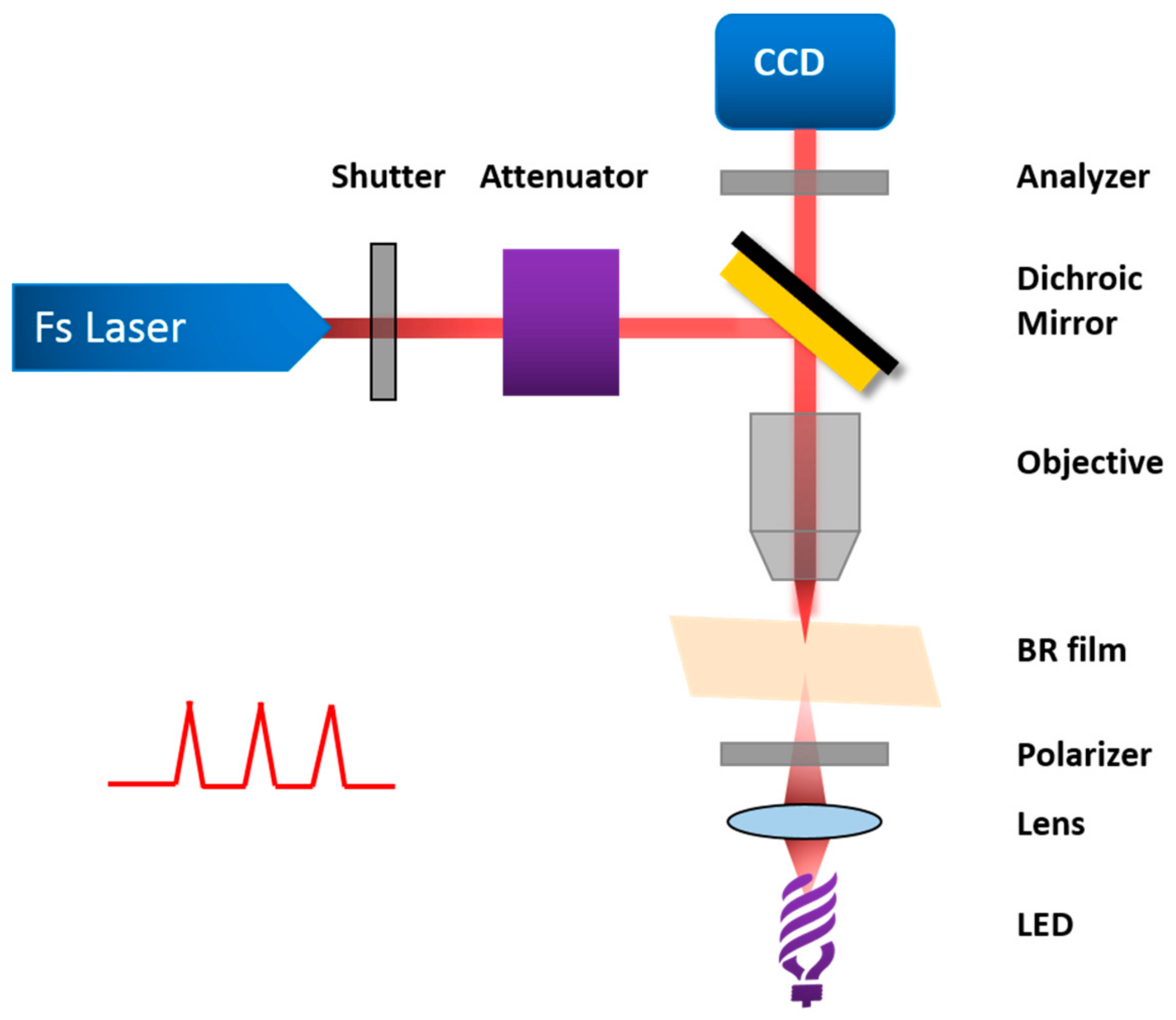 Sensors 18 01368 g008 550