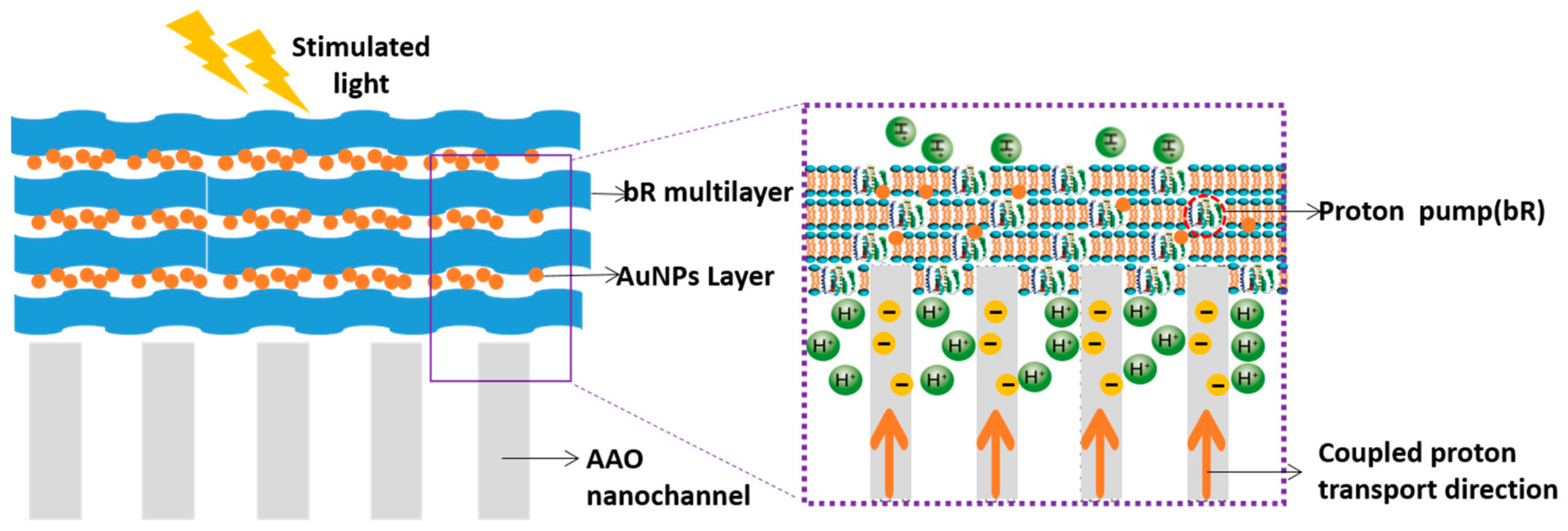 Sensors 18 01368 g015 550