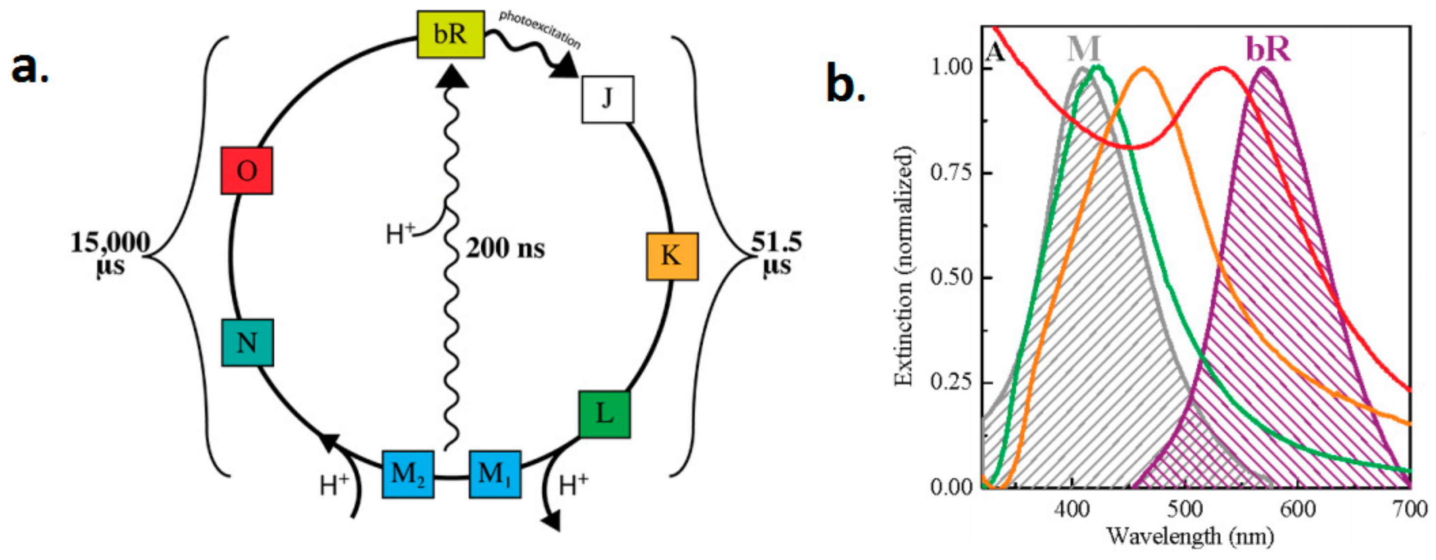 Sensors 18 01368 g017 550