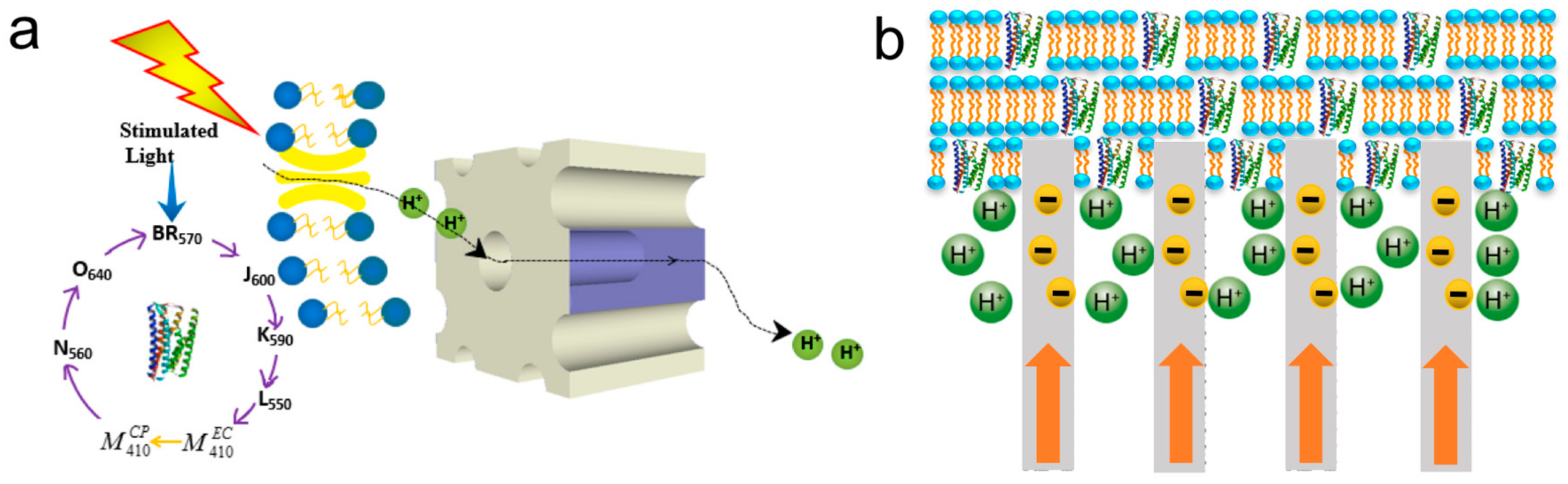 Sensors 18 01368 g018 550