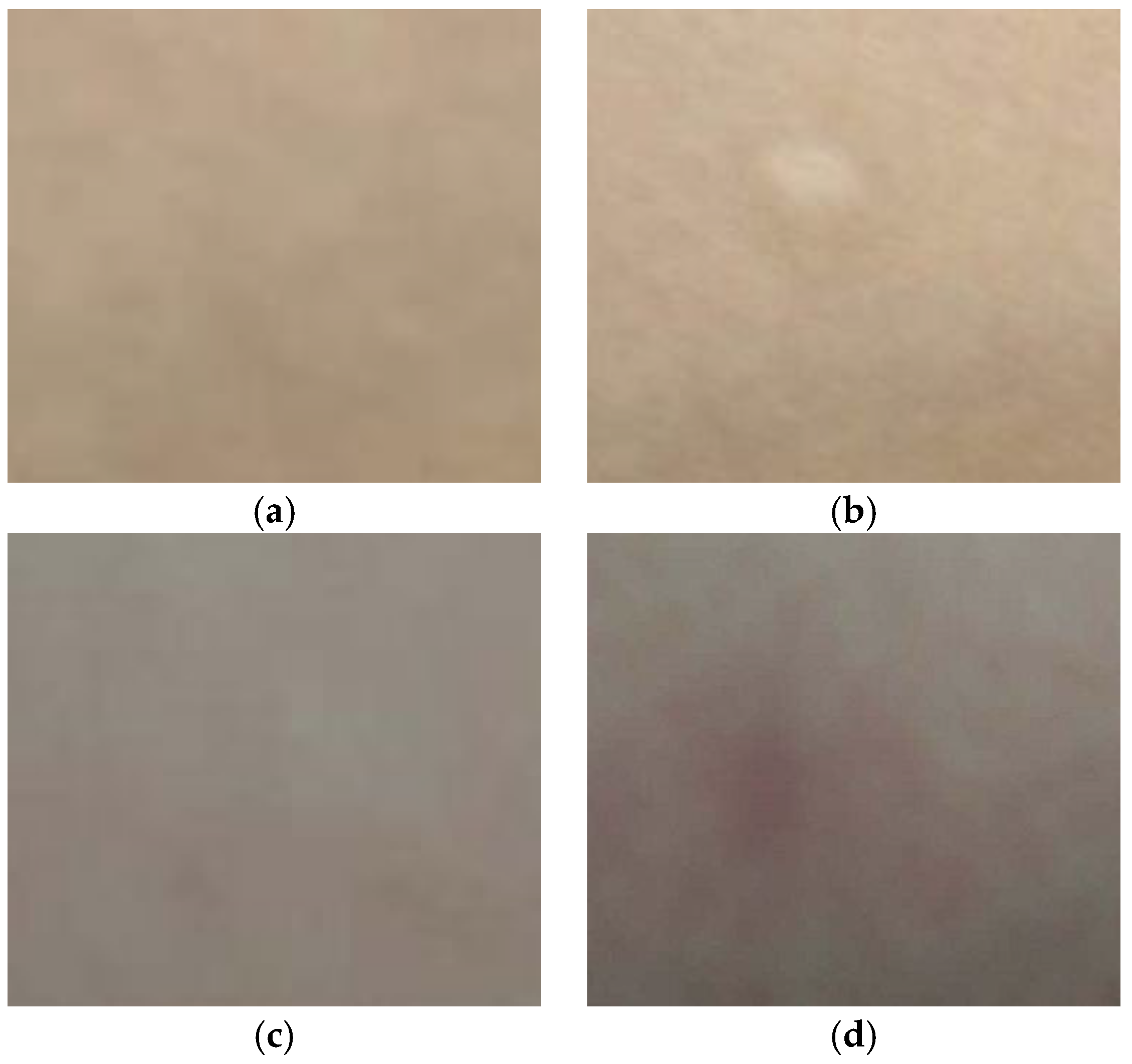 Sensors 18 01431 g010