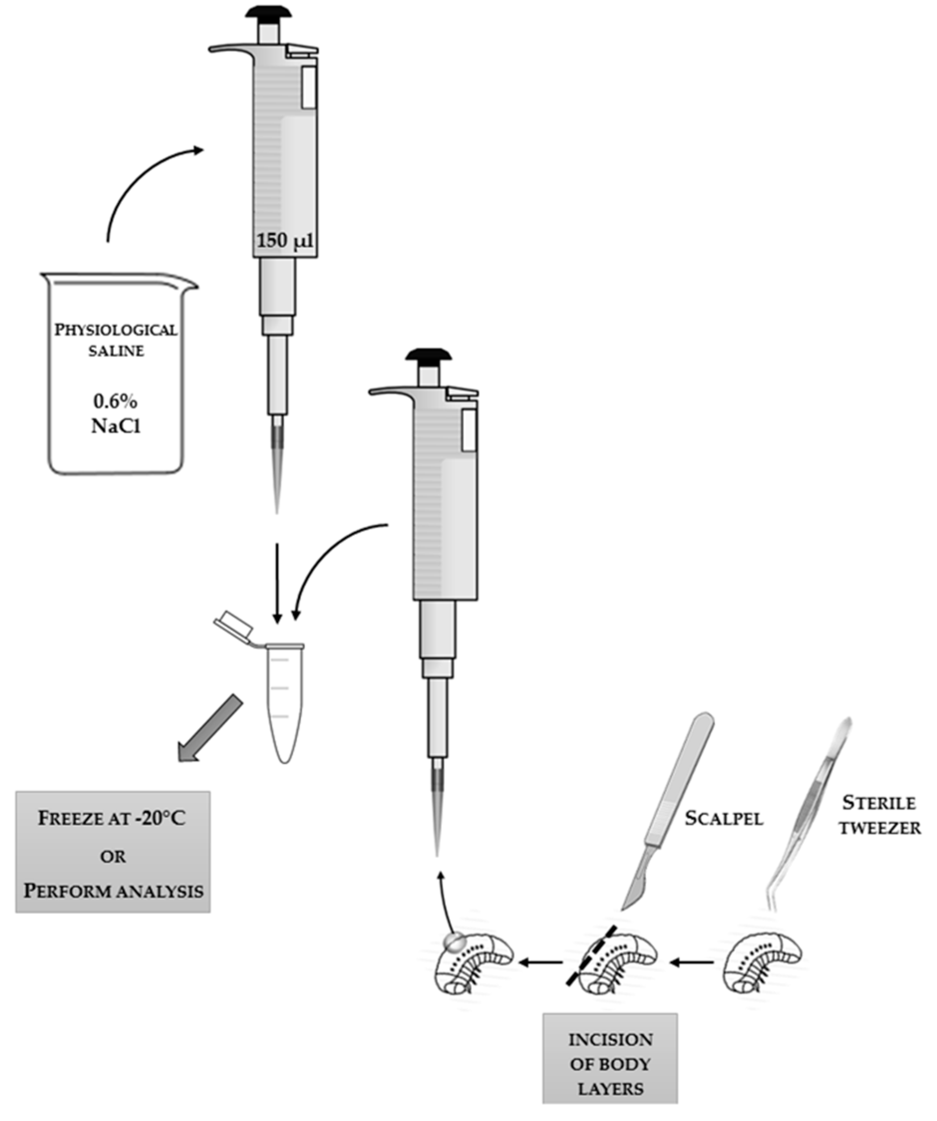 Sensors 18 01494 g002