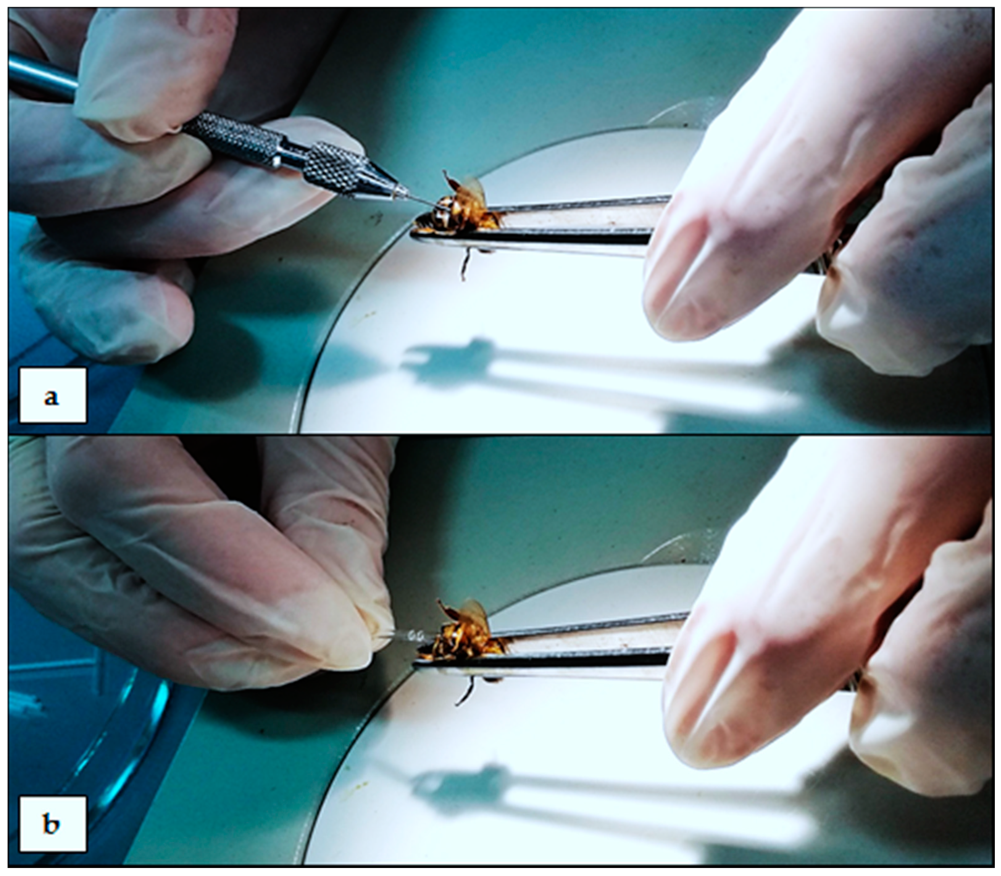 Sensors 18 01494 g004