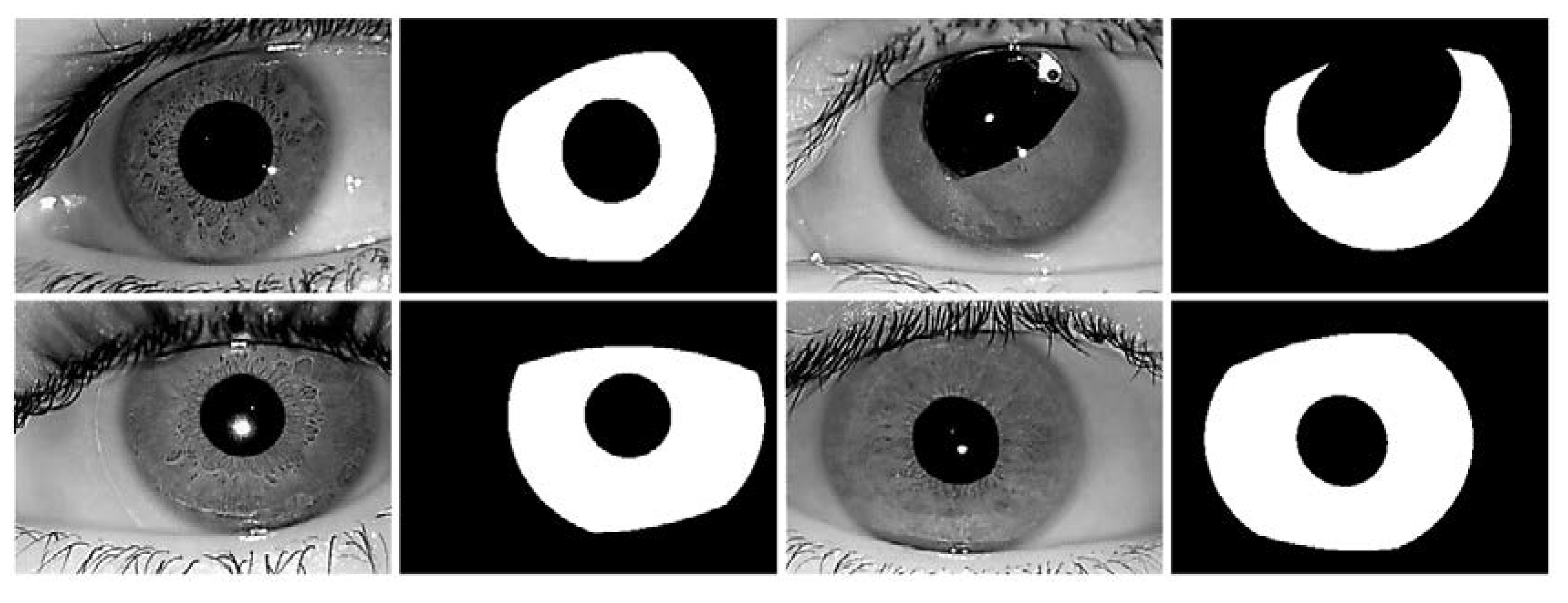 Sensors 18 01501 g013