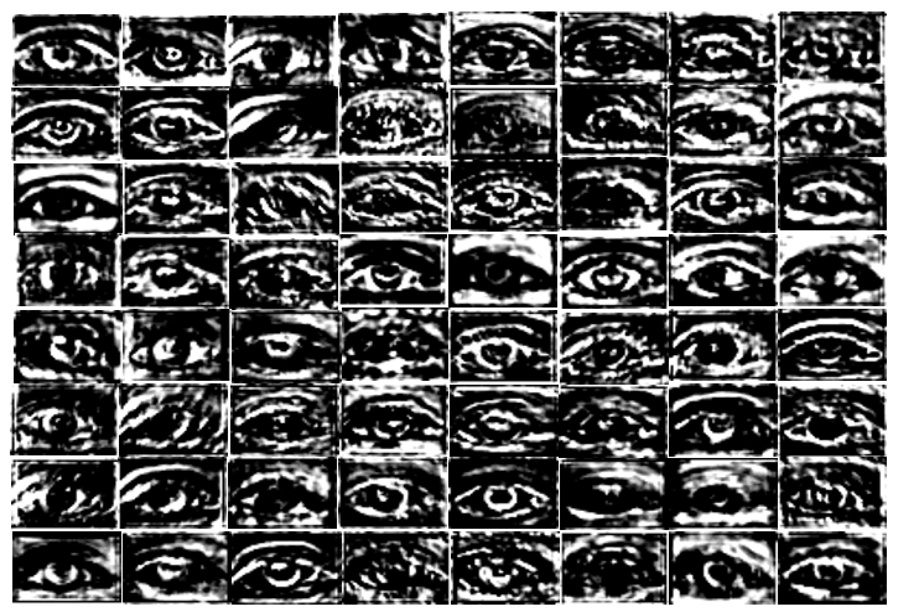 Sensors 18 01501 g019