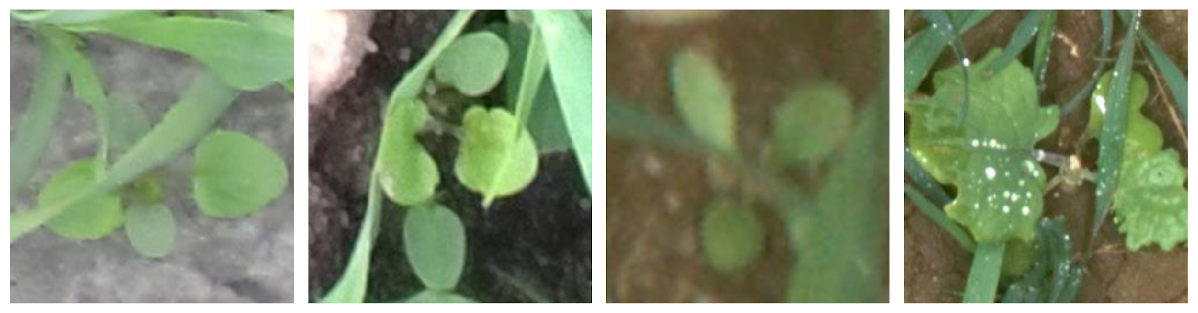 Sensors 18 01580 g003