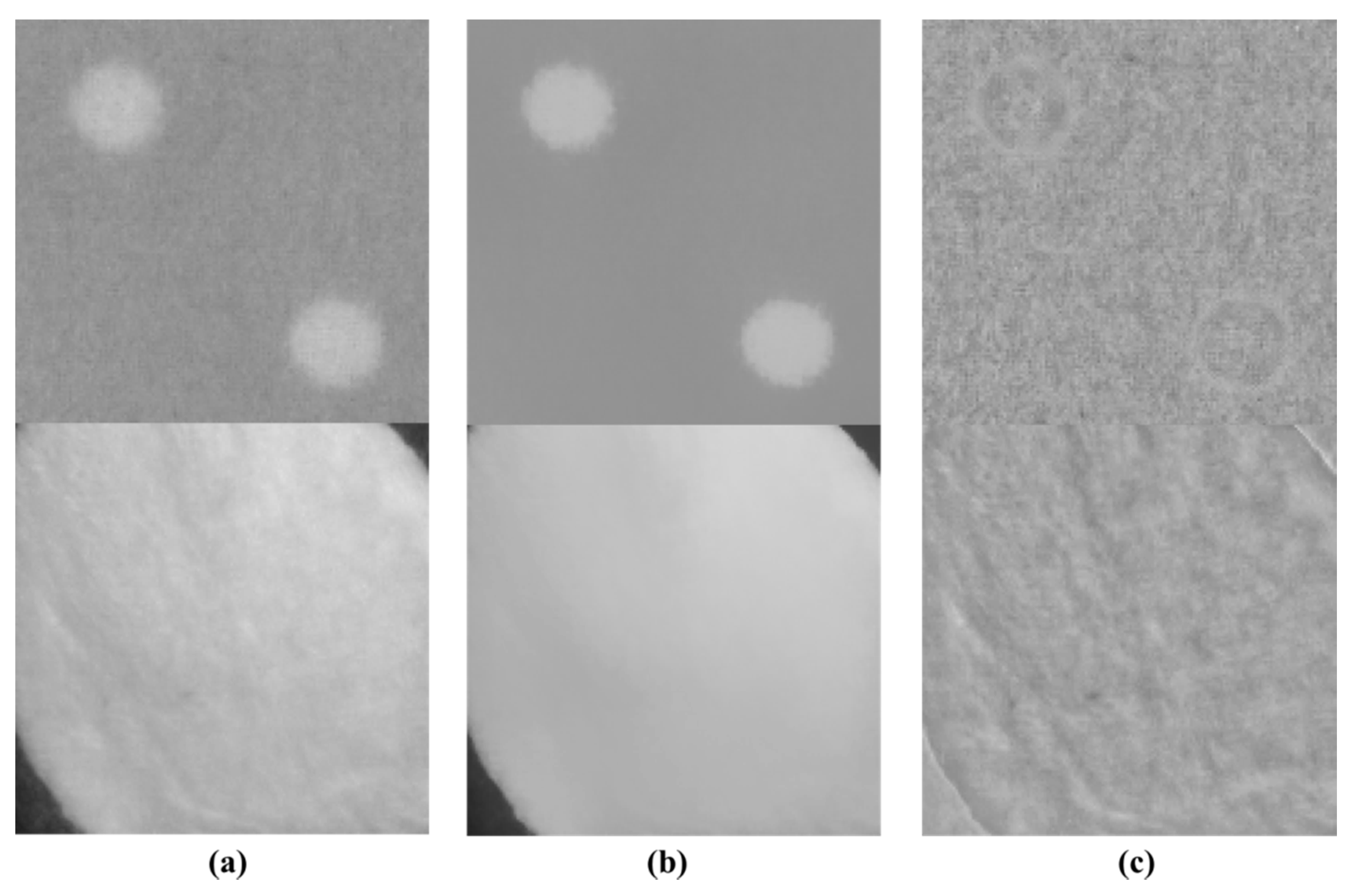 Sensors 18 01647 g005 550