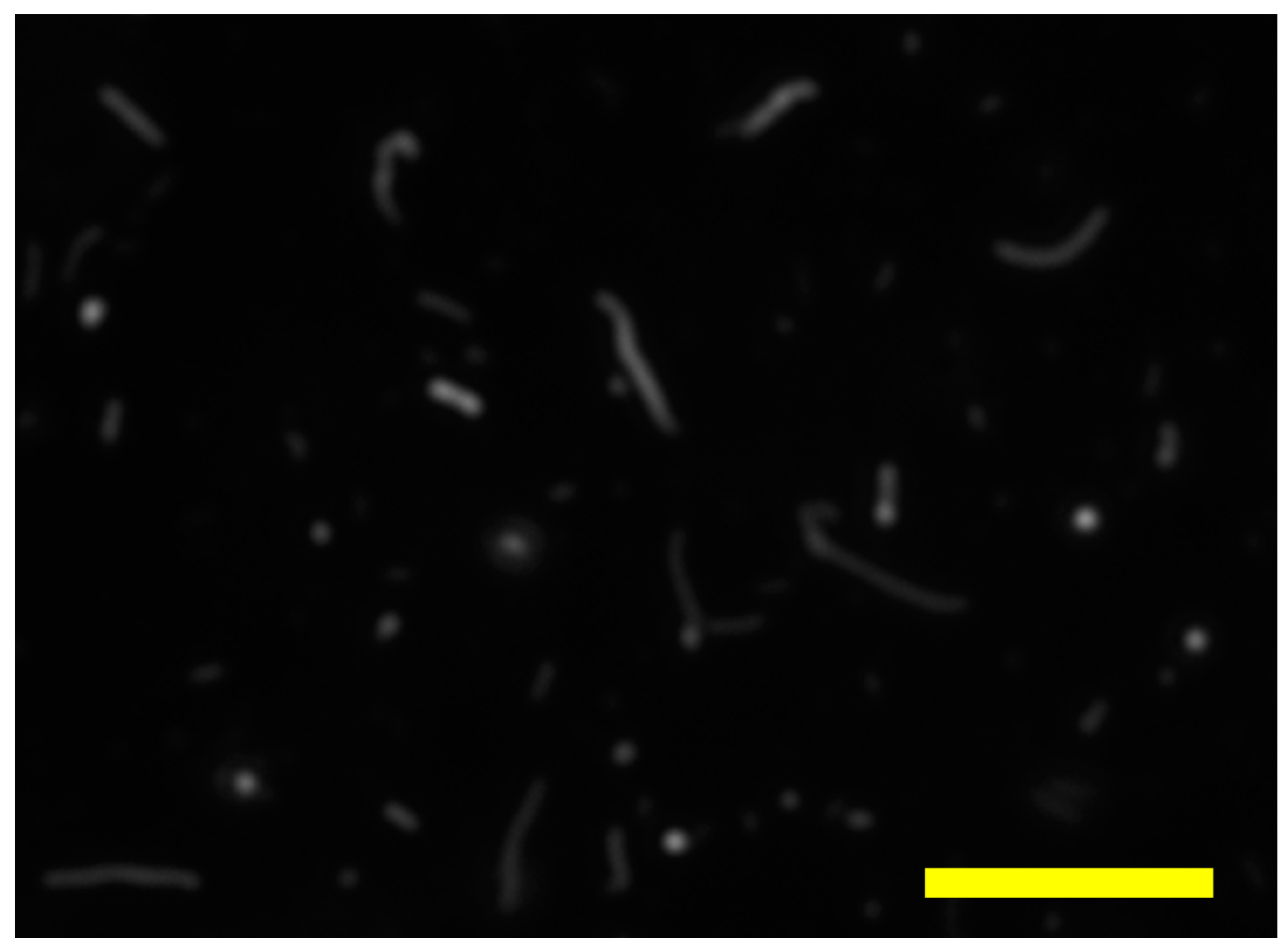 Sensors 18 01670 g003 Sensors 18 01670 g003