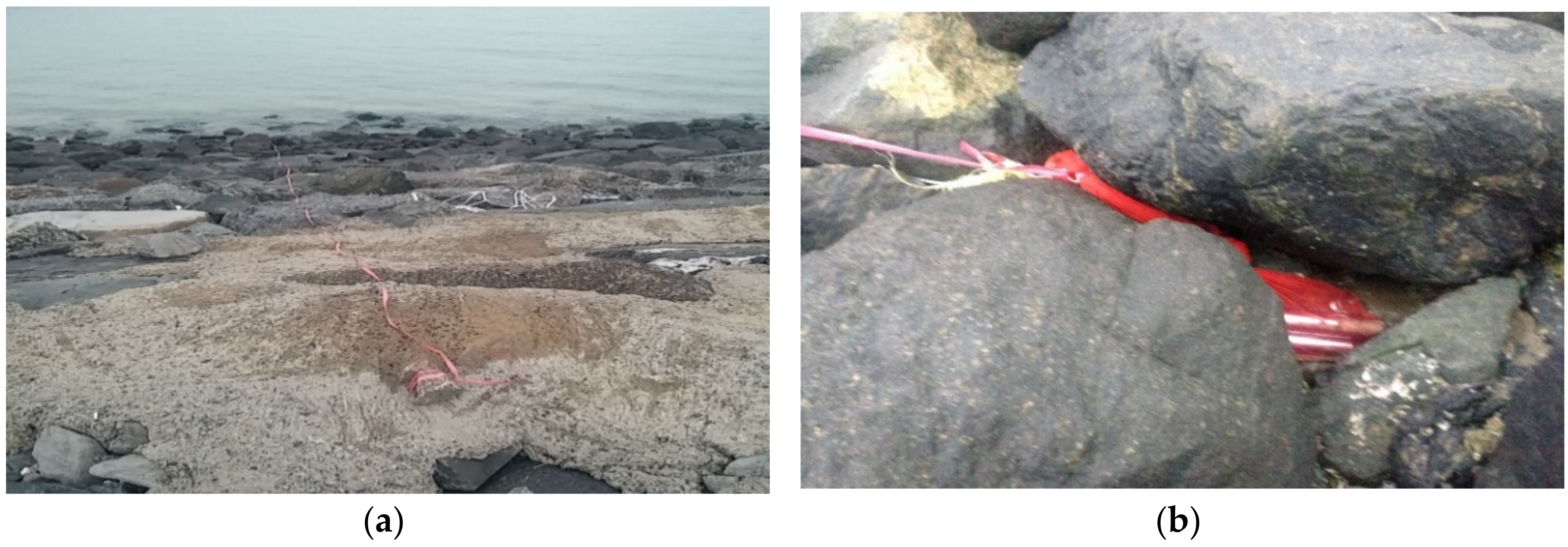 Sensors 18 01681 g002 550