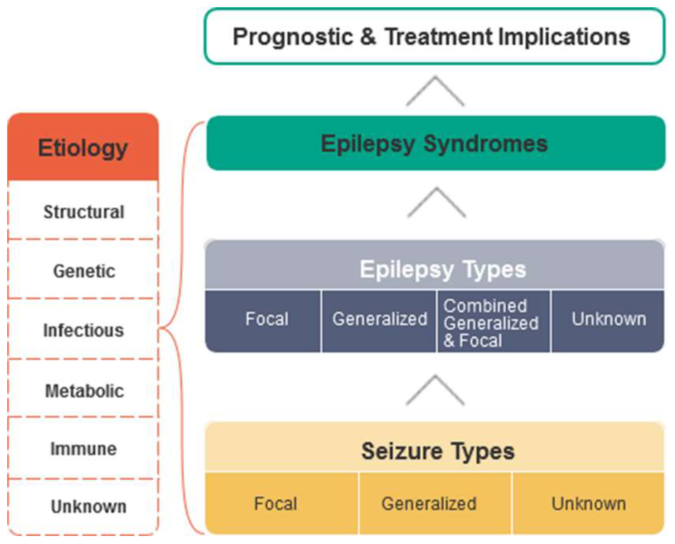 epilepsy grid mapping protocol