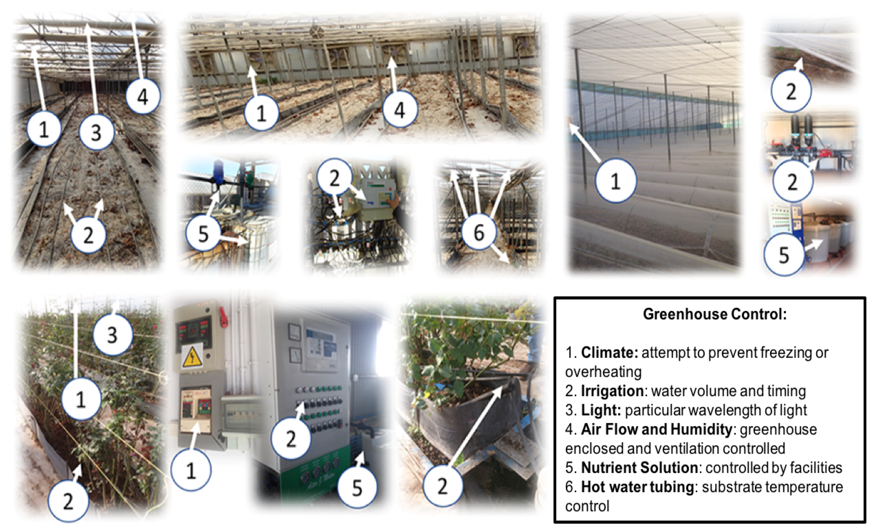 Sensors 18 01731 g002 Sensors 18 01731 g002