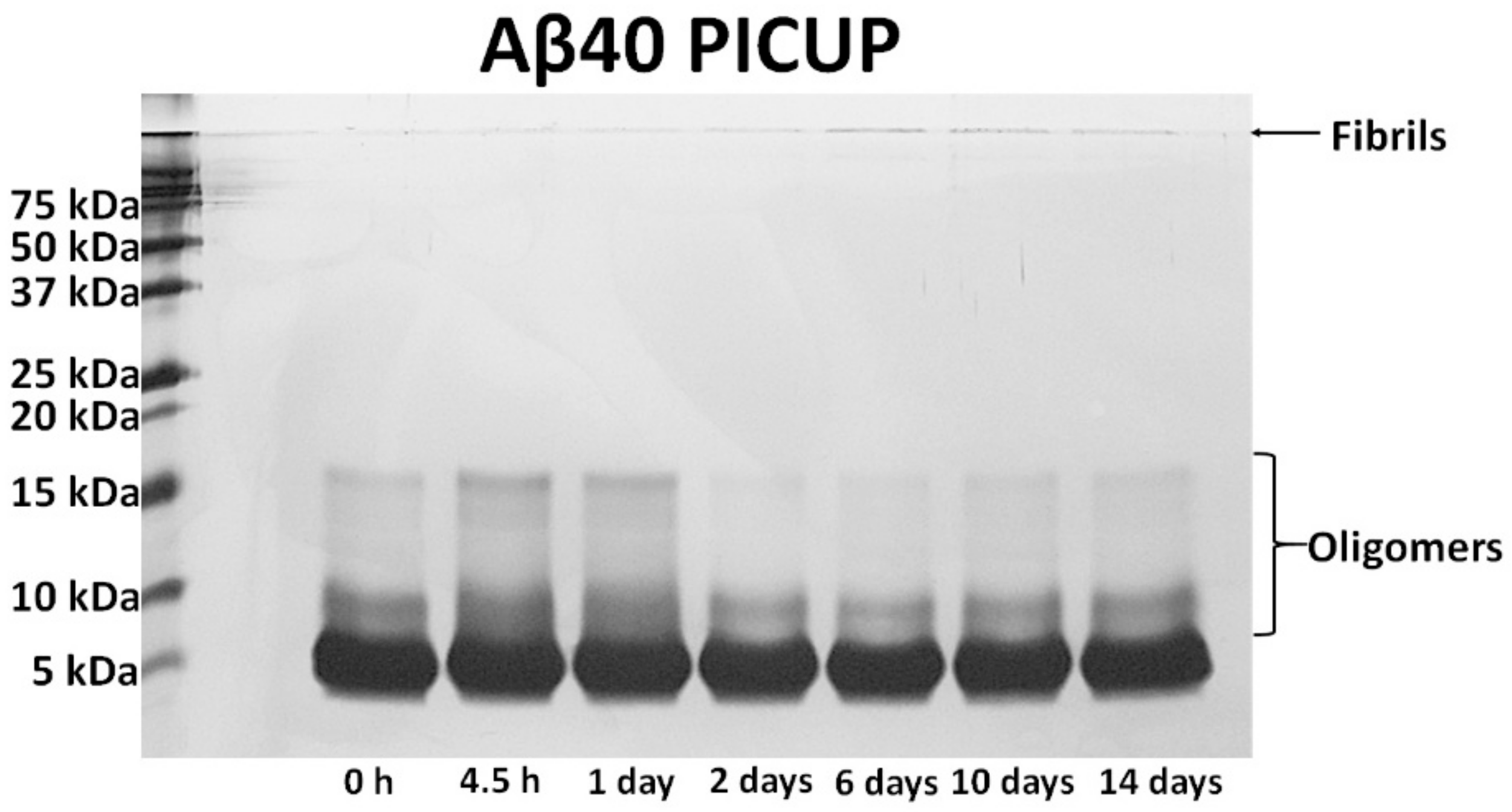 Sensors 18 01738 g002