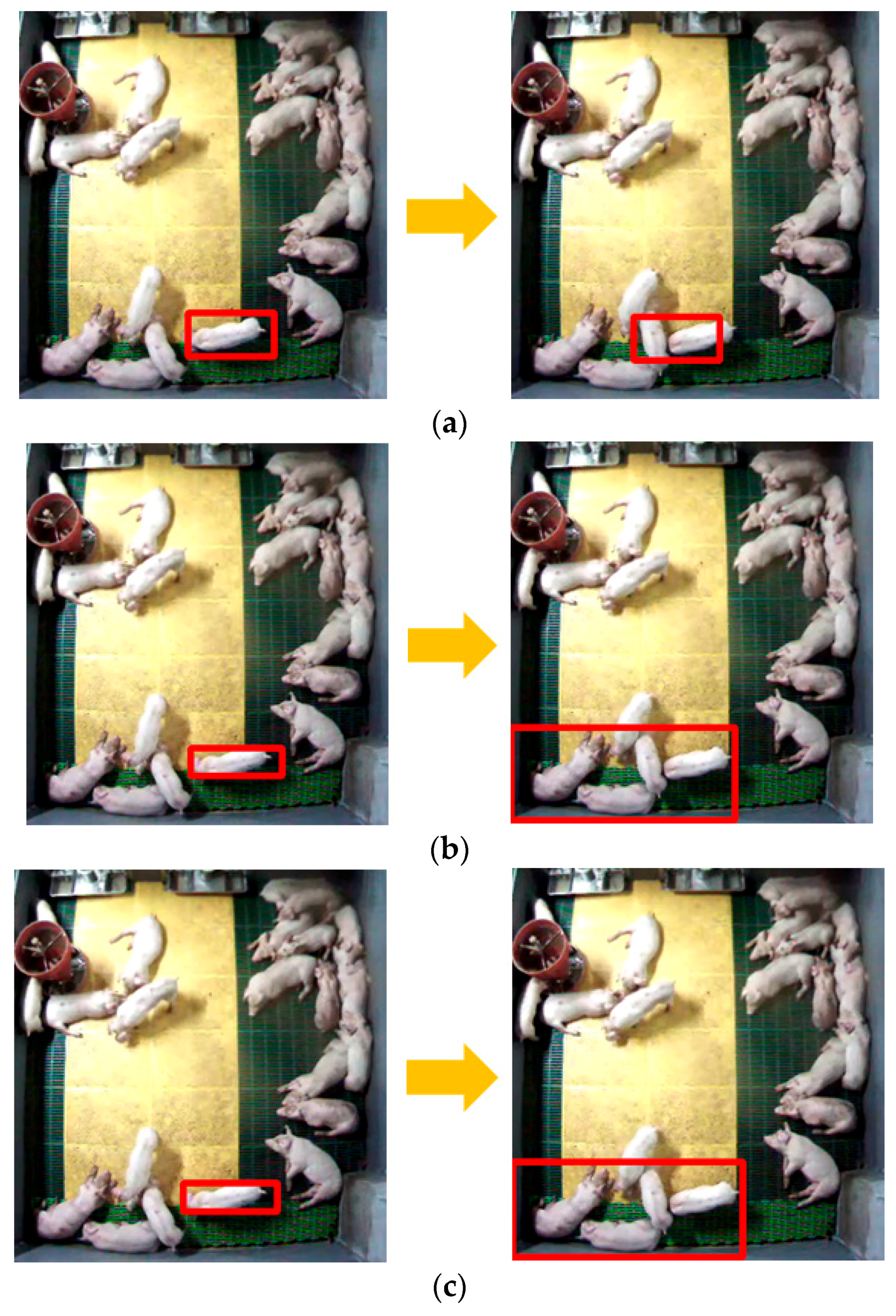 Sensors 18 01746 g001