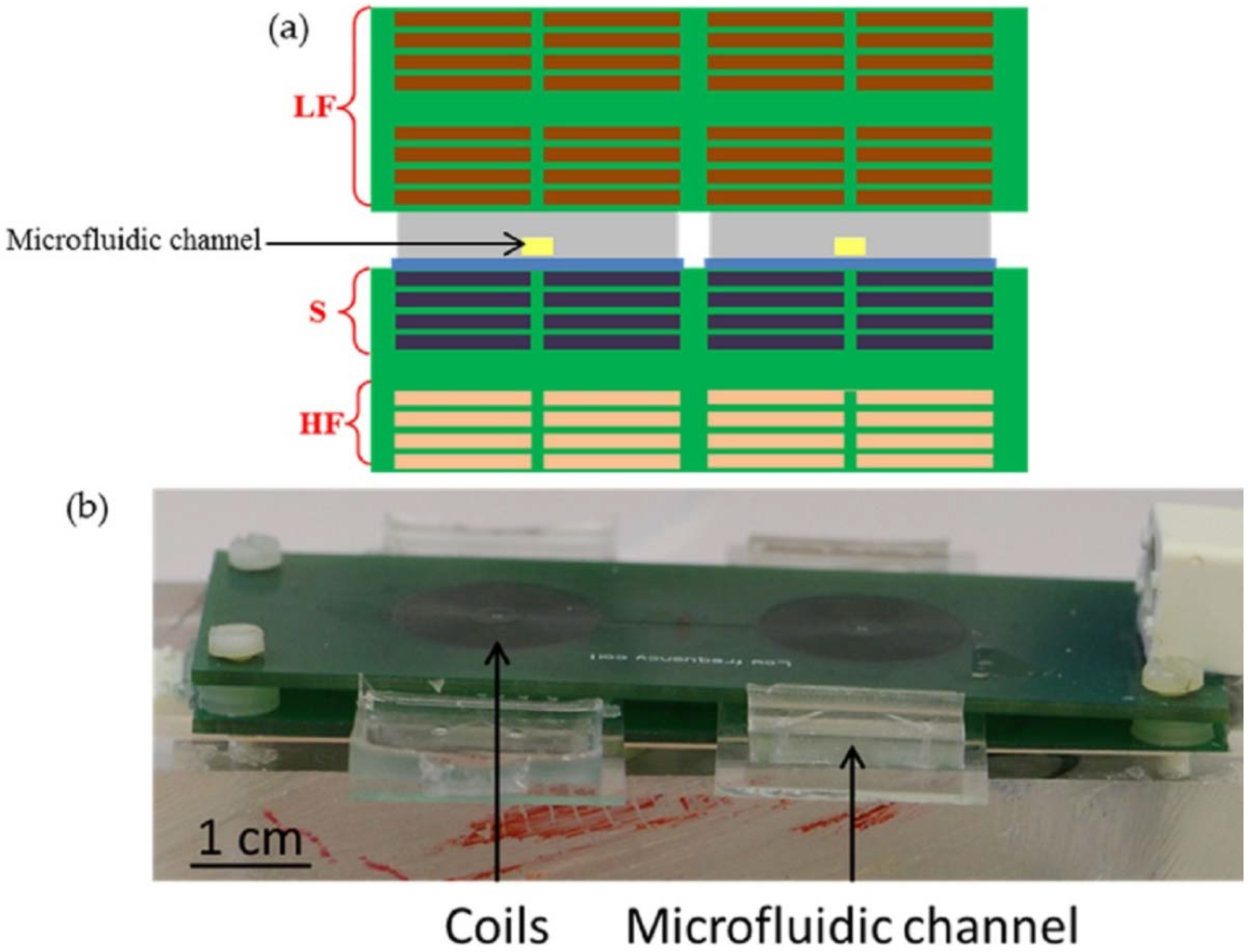 Sensors | Free Full-Text | Magnetic Detection Structure ...