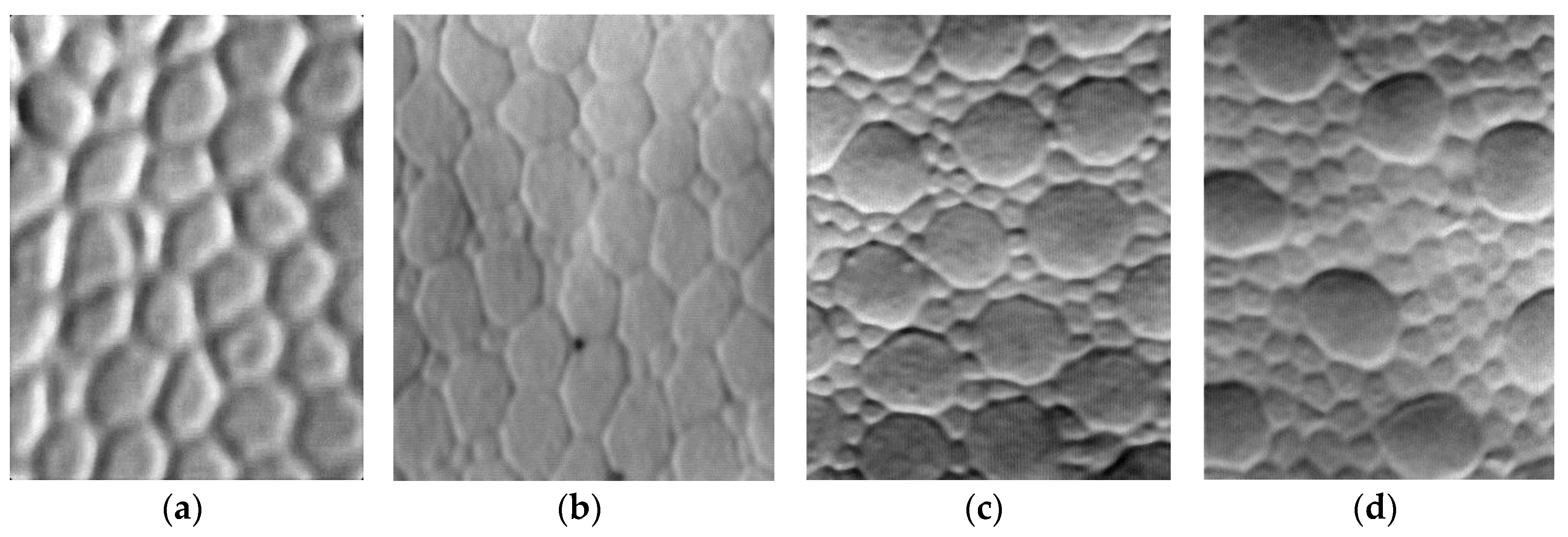 Sensors 18 01856 g002