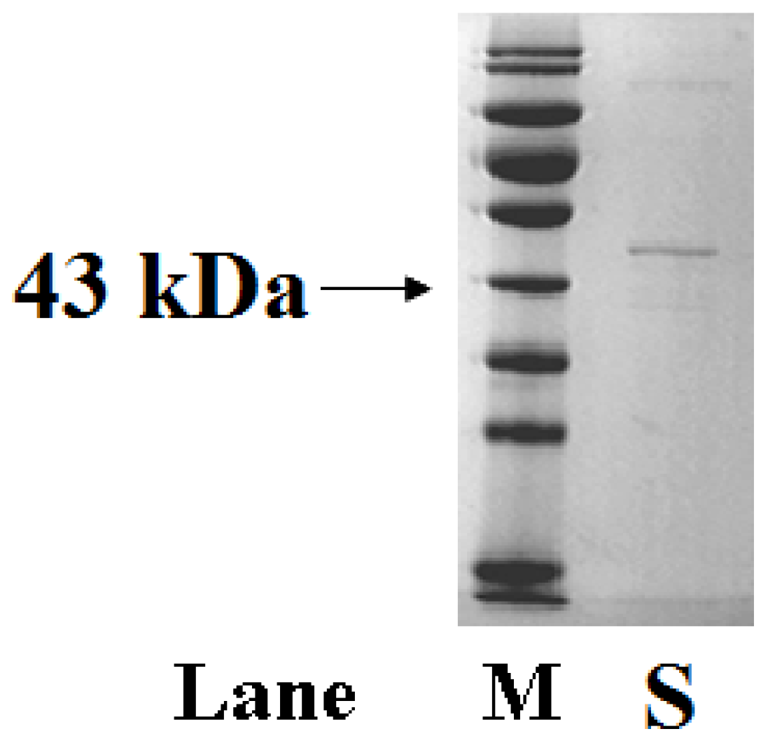 Sensors 18 01865 g0a1