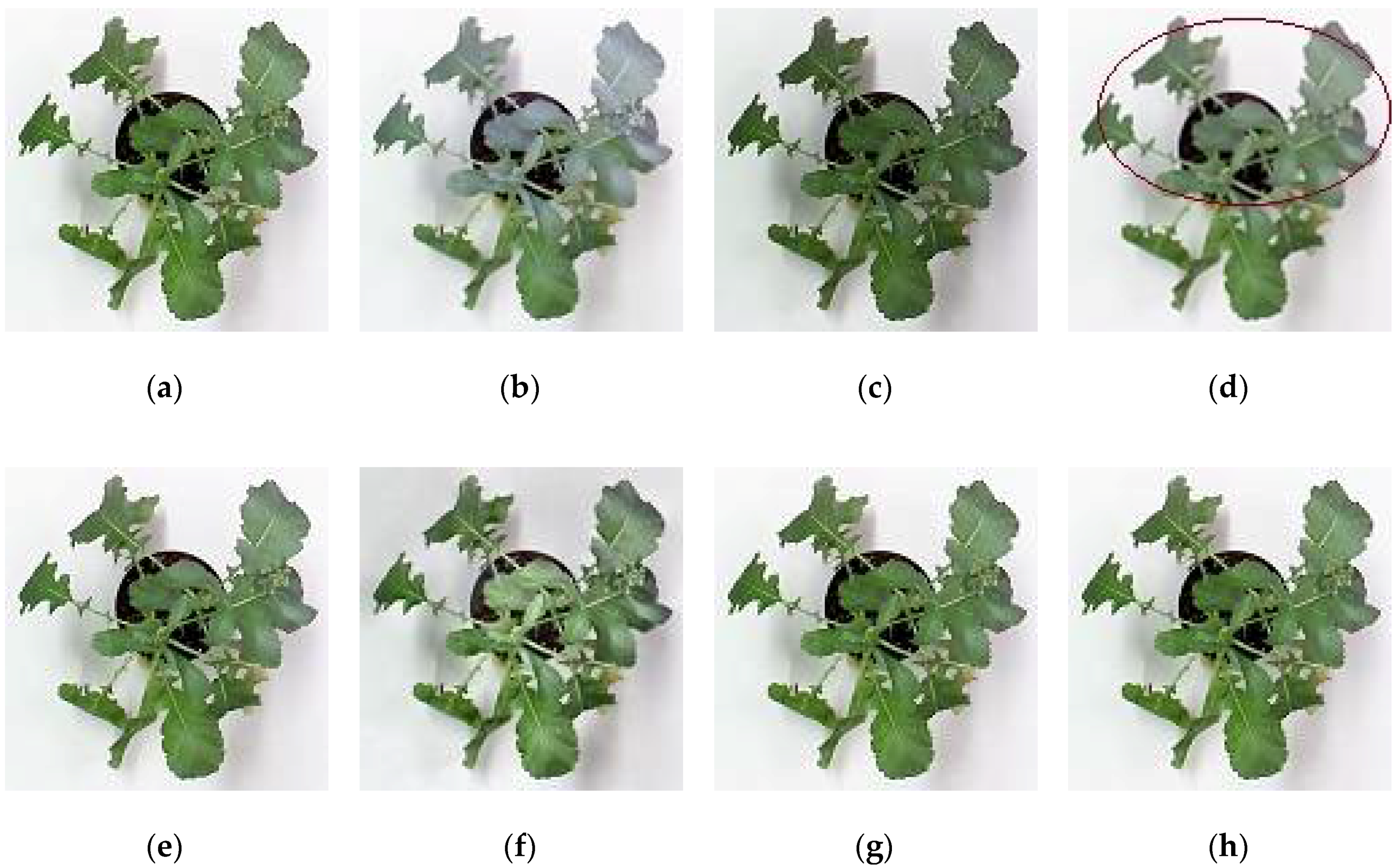Sensors 18 01887 g006
