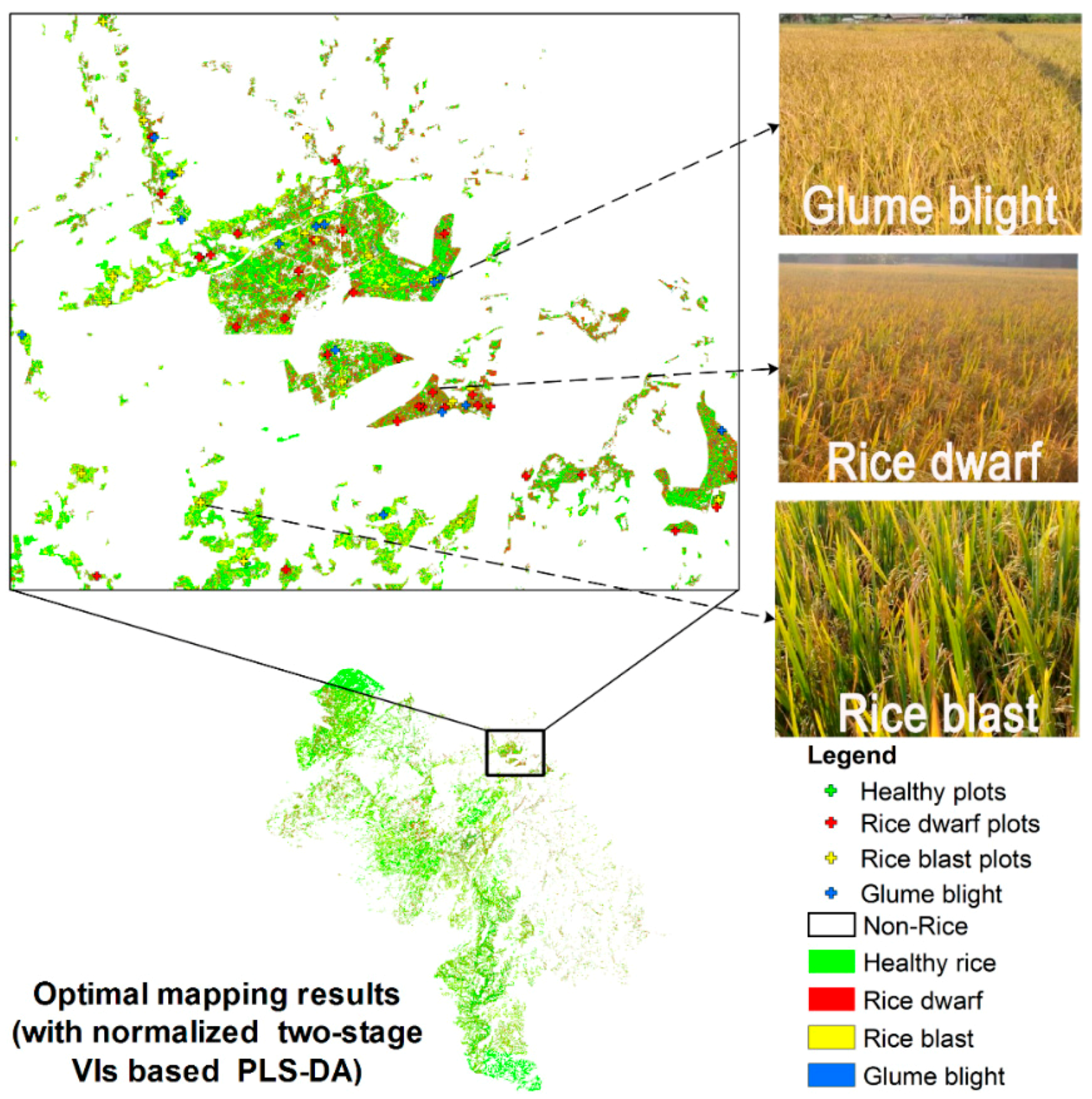 Sensors 18 01901 g006