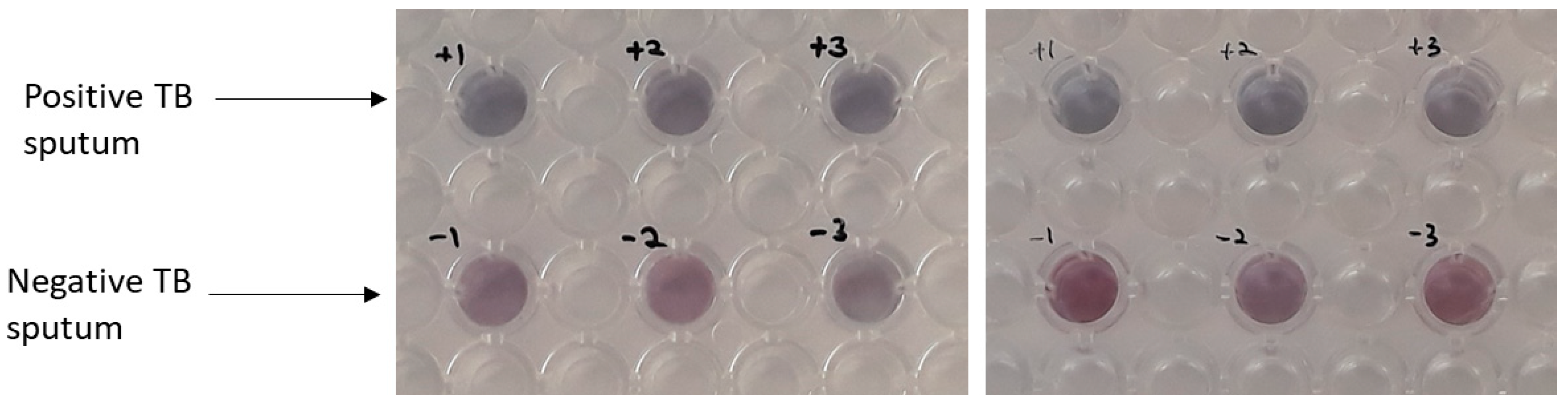 Sensors 18 01932 g008 550