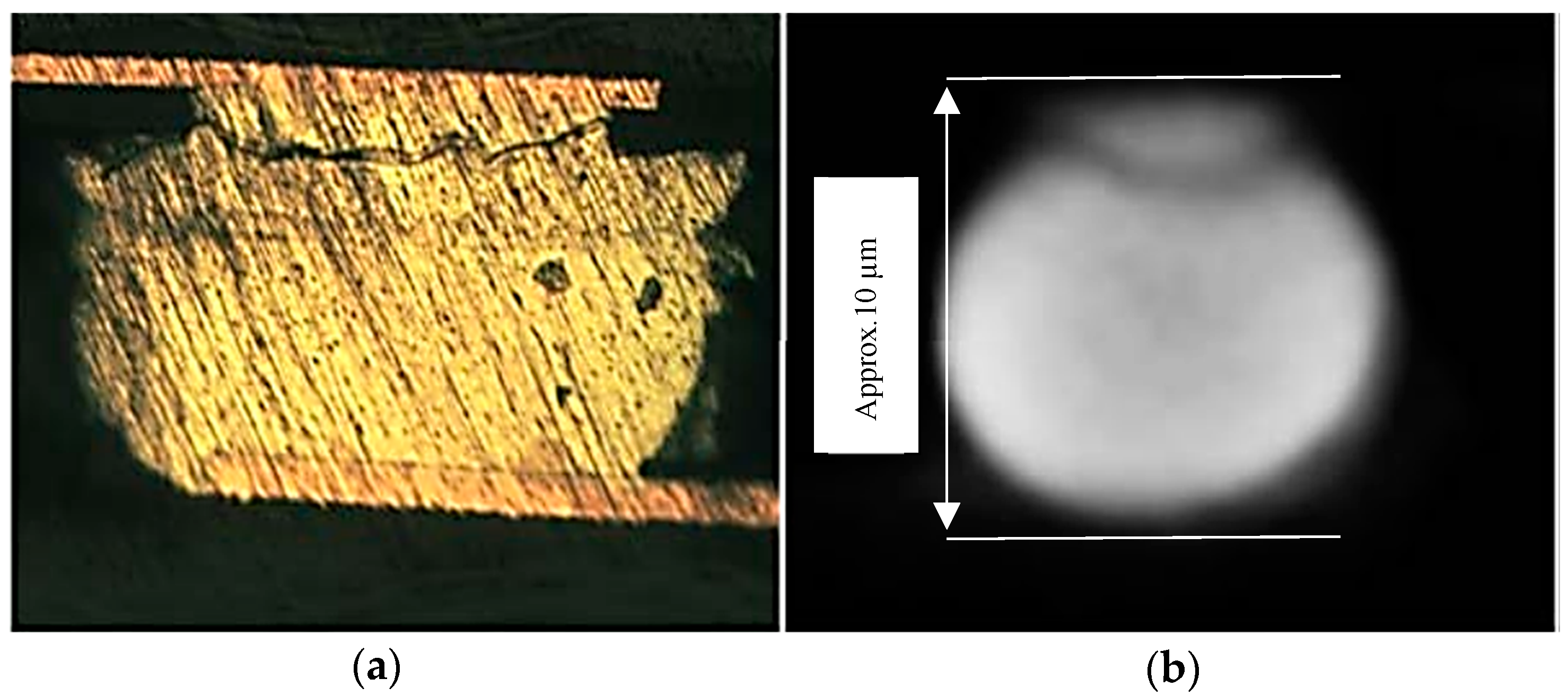 Sensors 18 01981 g006