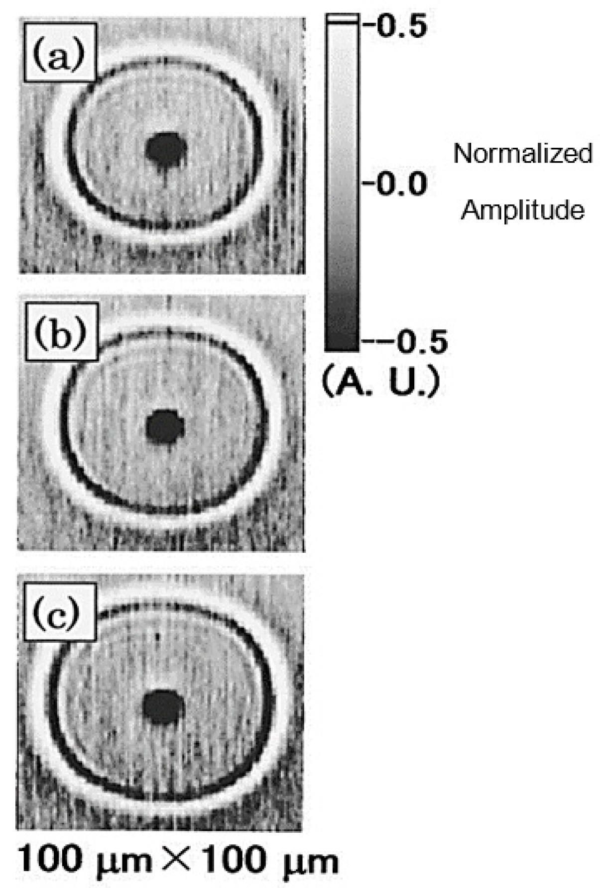 Sensors 18 01981 g019