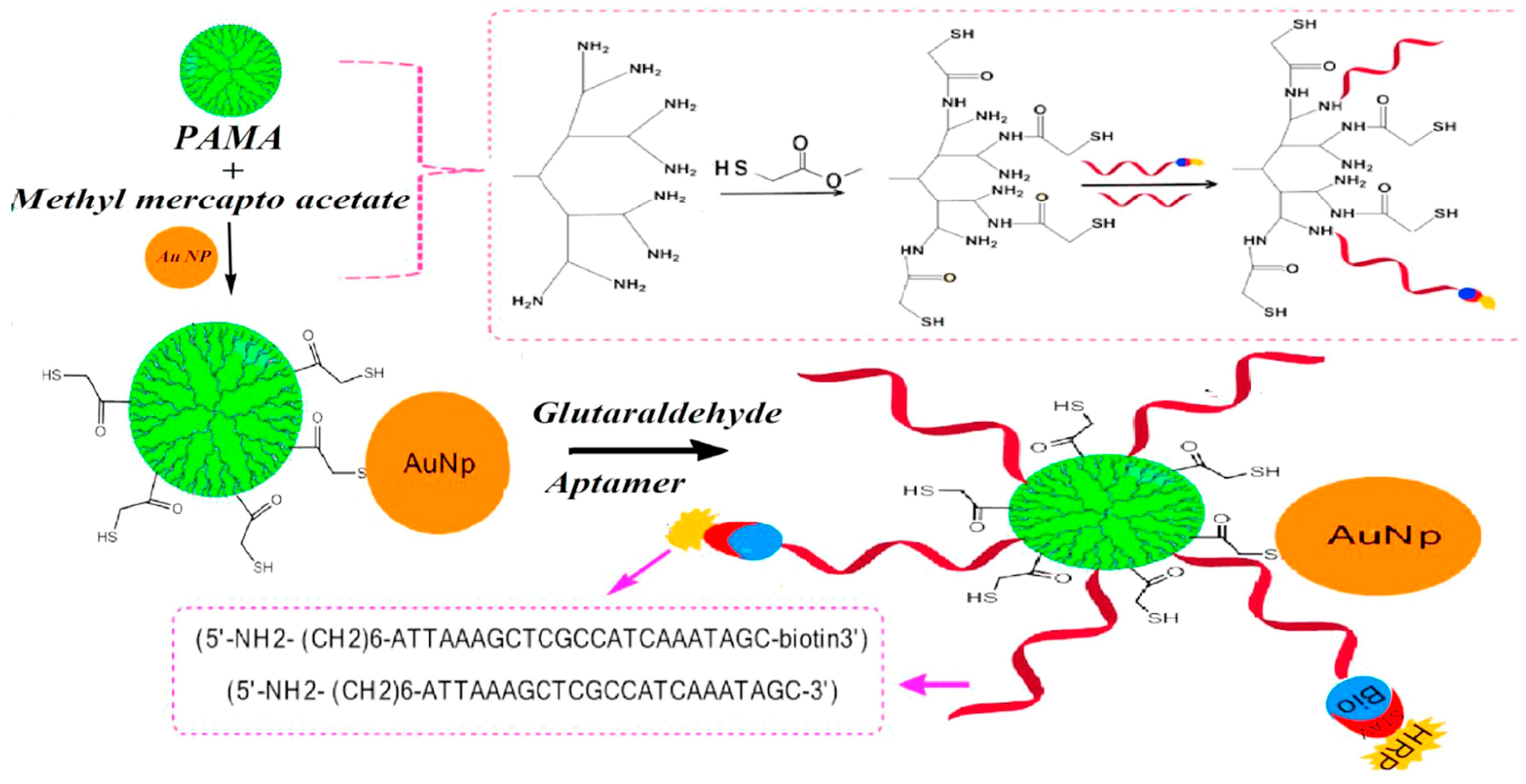 Sensors 18 02010 g003 Sensors 18 02010 g003