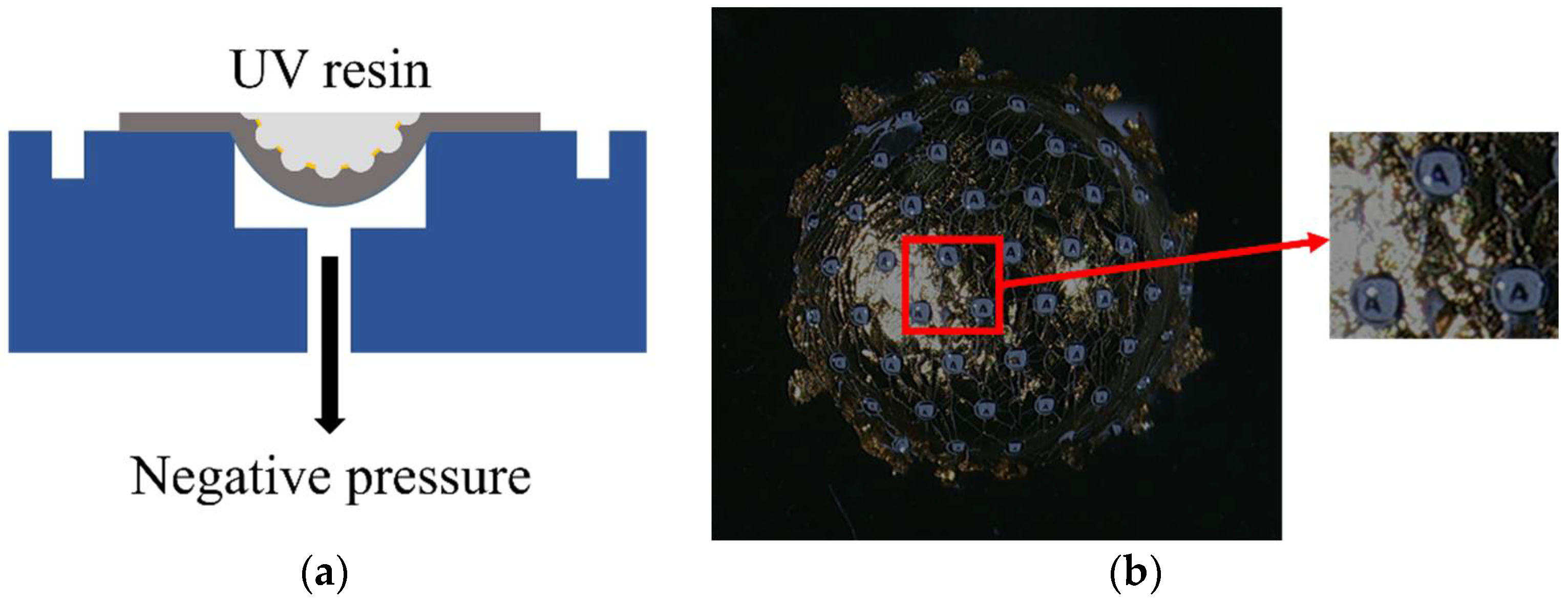 Sensors 18 02011 g005 Sensors 18 02011 g005
