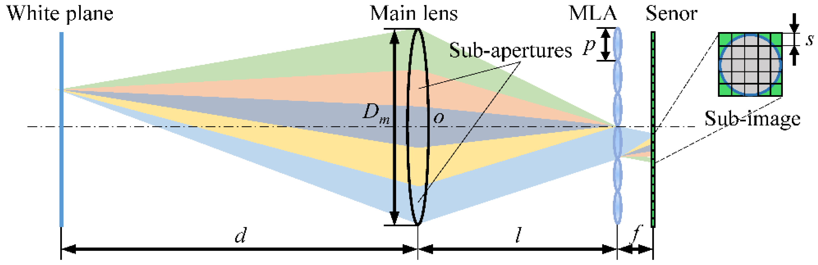 Microlens arrays for sensors and microsystems biology essay 06 image