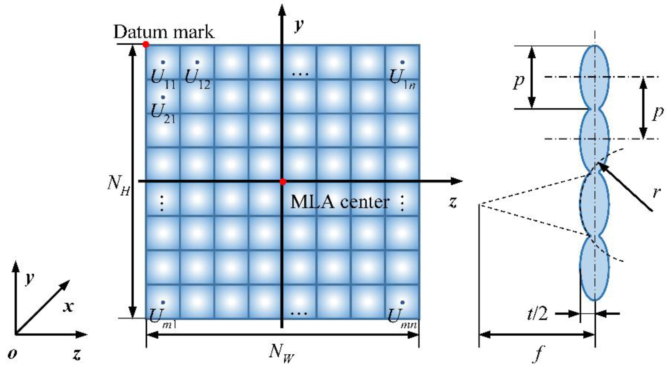 Microlens arrays for sensors and microsystems biology essay 03 picture