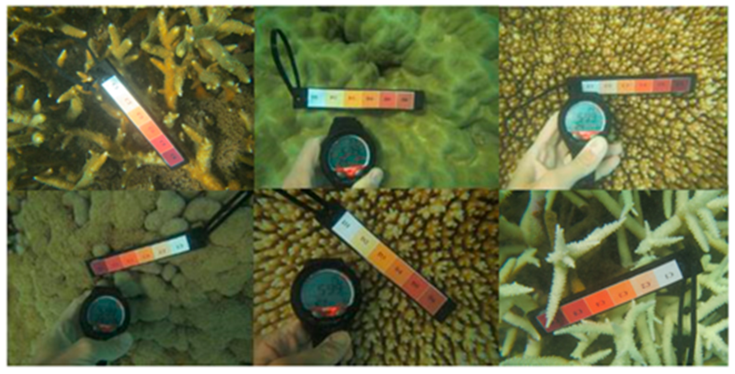 Sensors 18 02026 g002